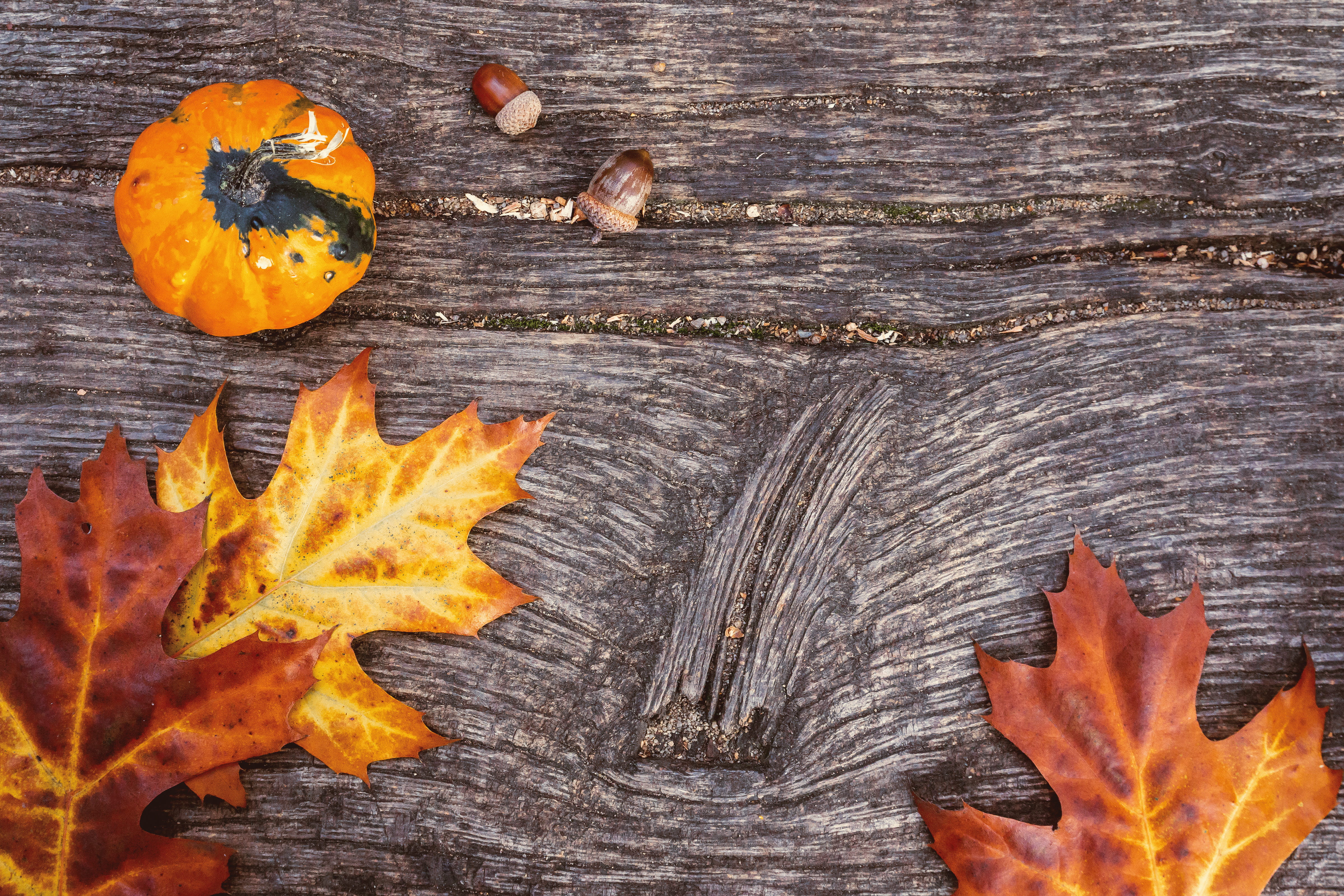 old, leaves, nature, no people, close-up, orange color, change, leaf, high angle view, food, table, wood - material, maple leaf, flame, autumn, wooden, HD Wallpaper