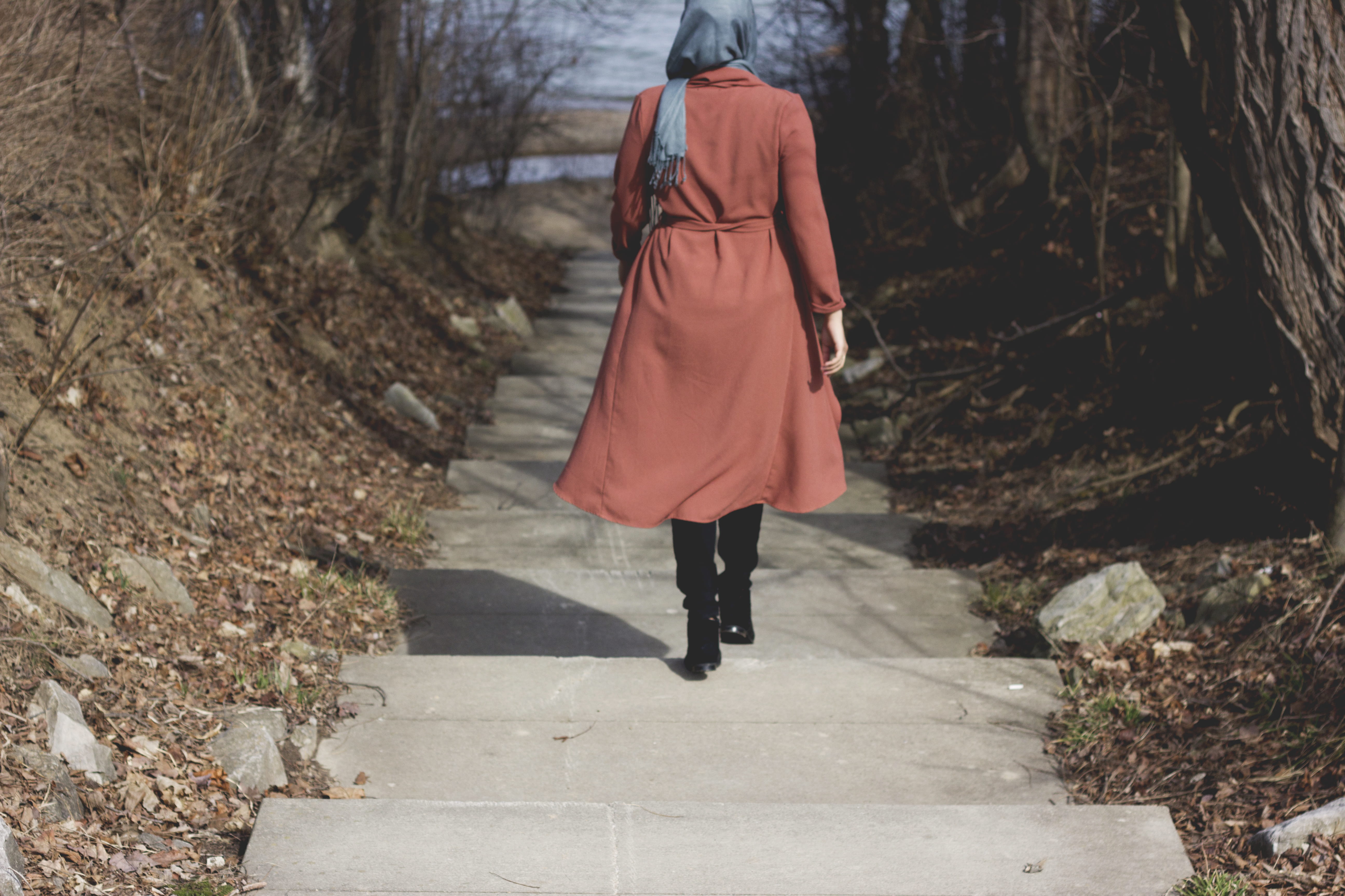 day, back, tree, united states, pink, women, nature, path, trees, forest, girl, full length, real people, staircase, one person, lifestyles, outdoors, 5K, HD Wallpaper