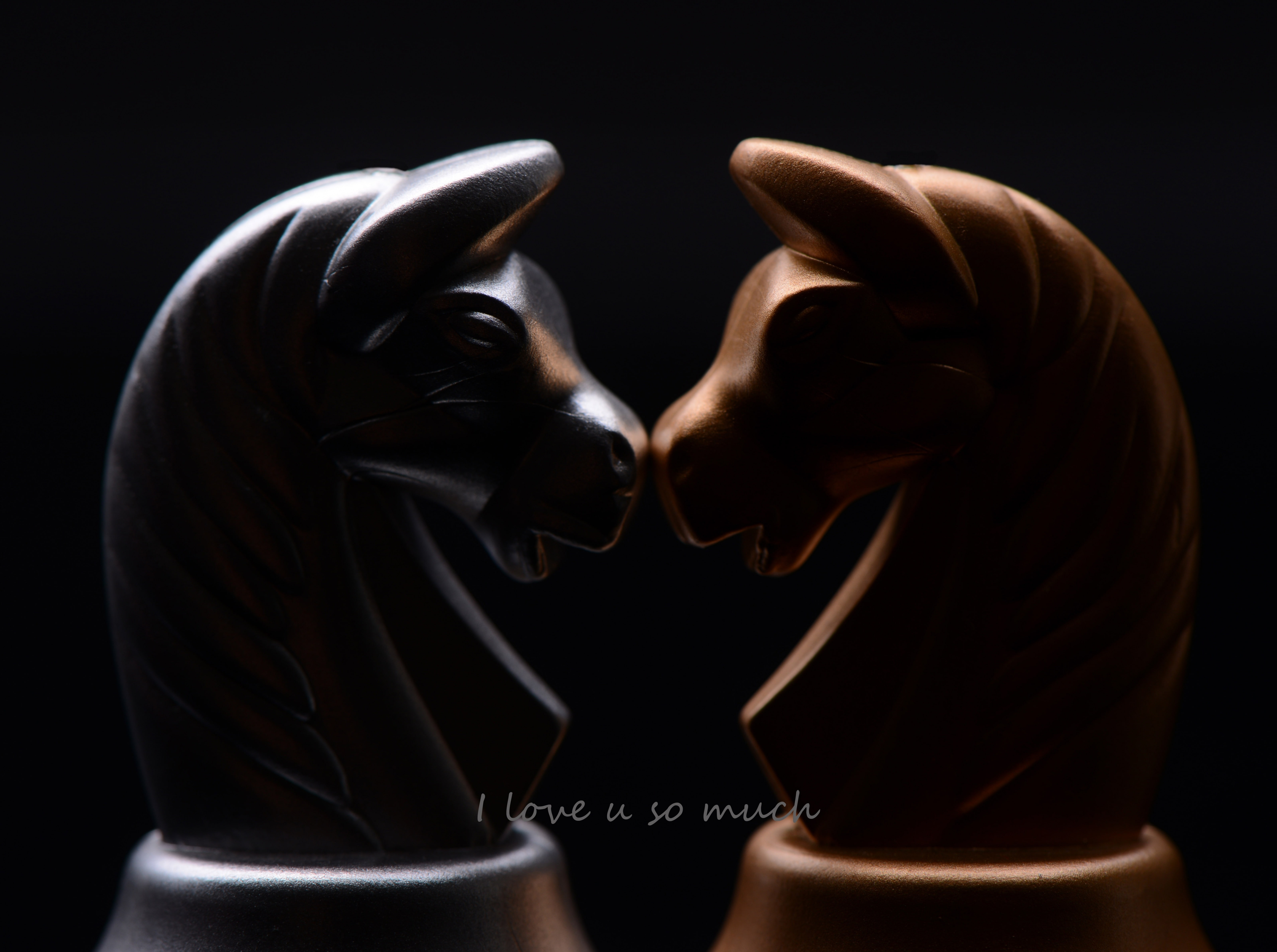 Chess, Love, knights, Horse, two objects, shiny, beauty, representation, studio shot, black color, 5K, fashion, no people, profile view, clothing, HD Wallpaper