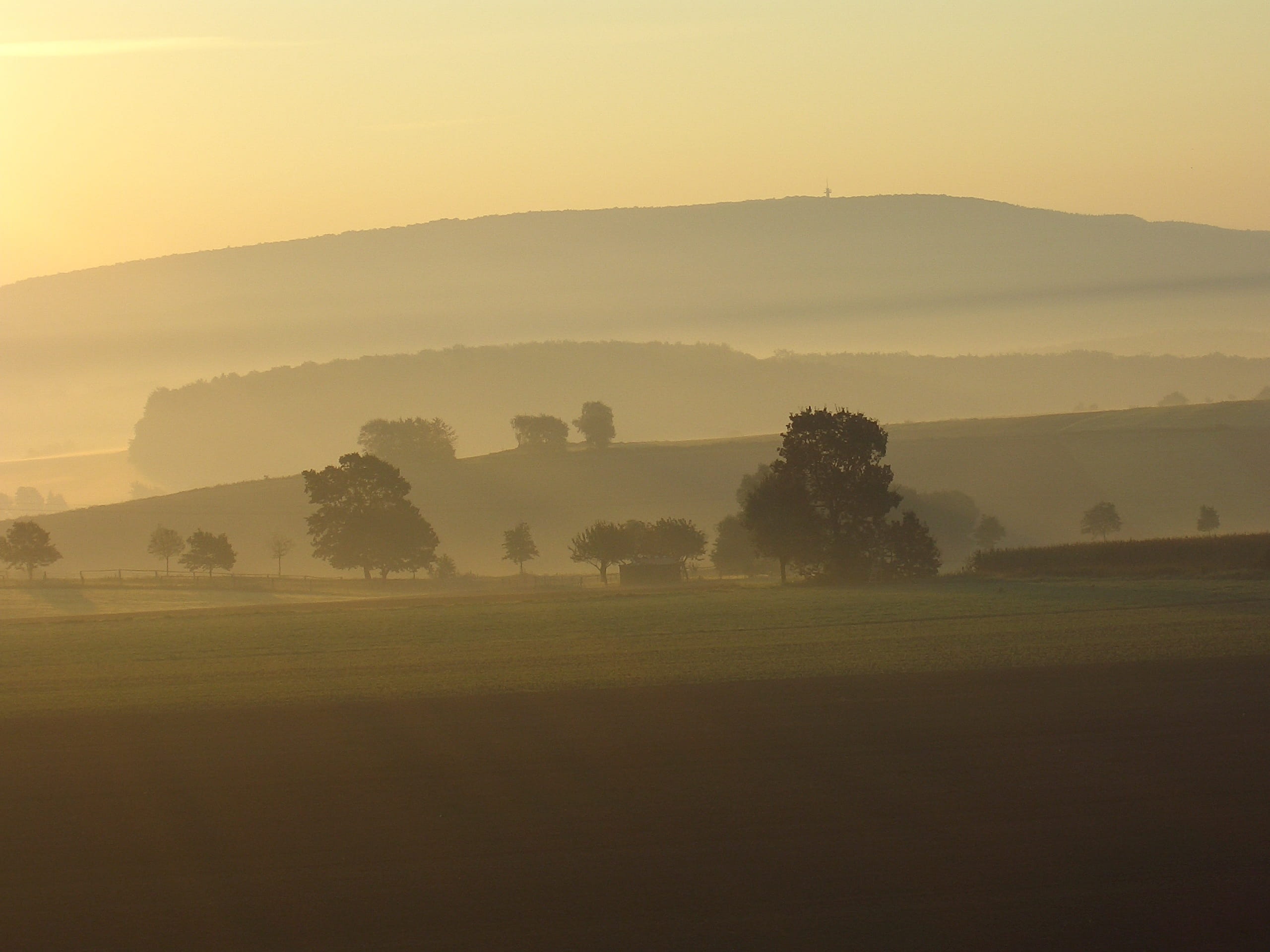 paypal, idyllic, tranquil scene, coffee donation, nature, bühren, tranquility, 2K, sunset, morning mist, morgenstimmung, göttingen, scenics - nature, no people, HD Wallpaper