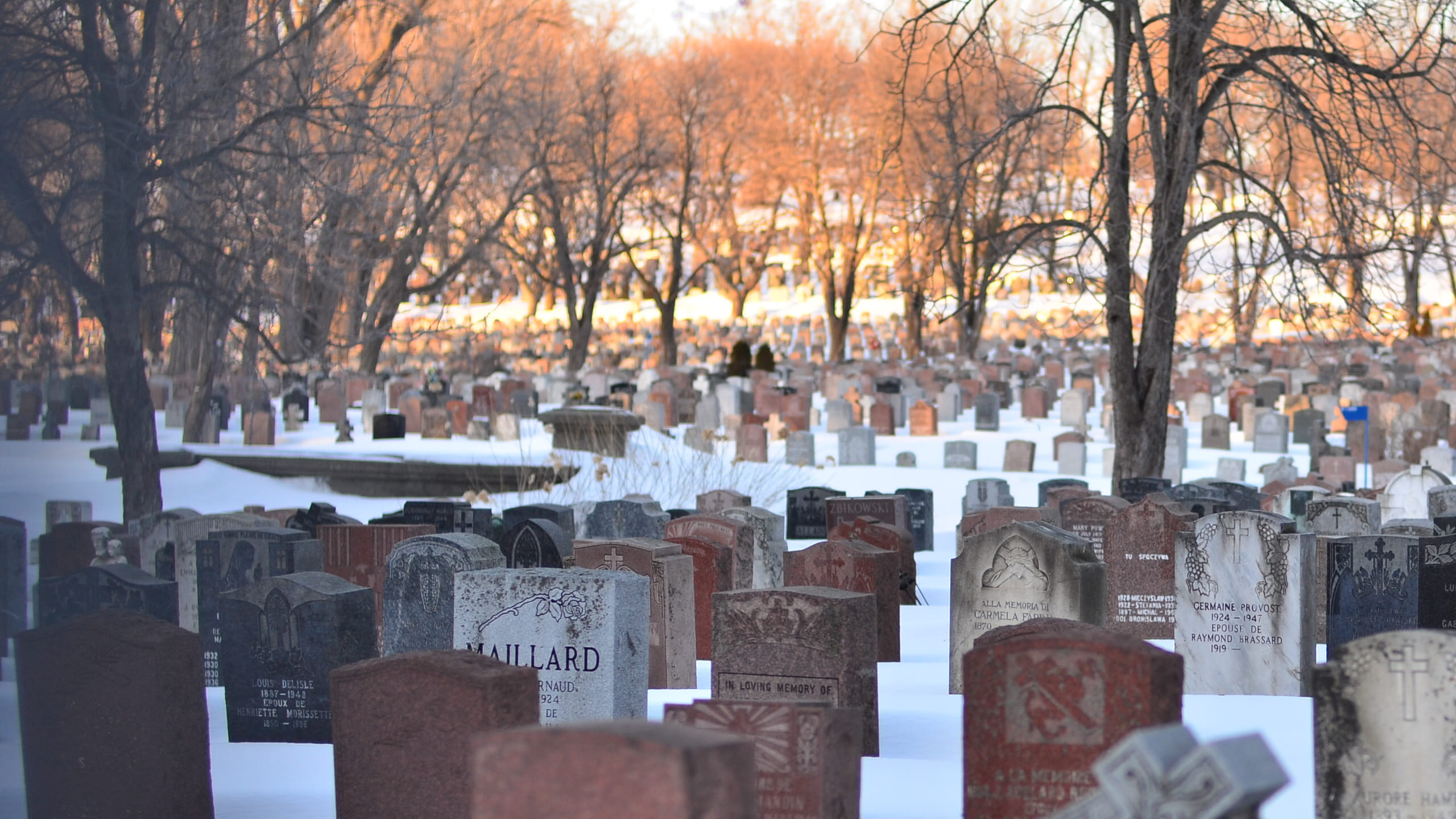 standing, sadness, rip, montreal, death, tree, day, sad, remember, died, grave, cold temperature, buried, snow, winter, graveyard, cross, rest in peace, HD Wallpaper