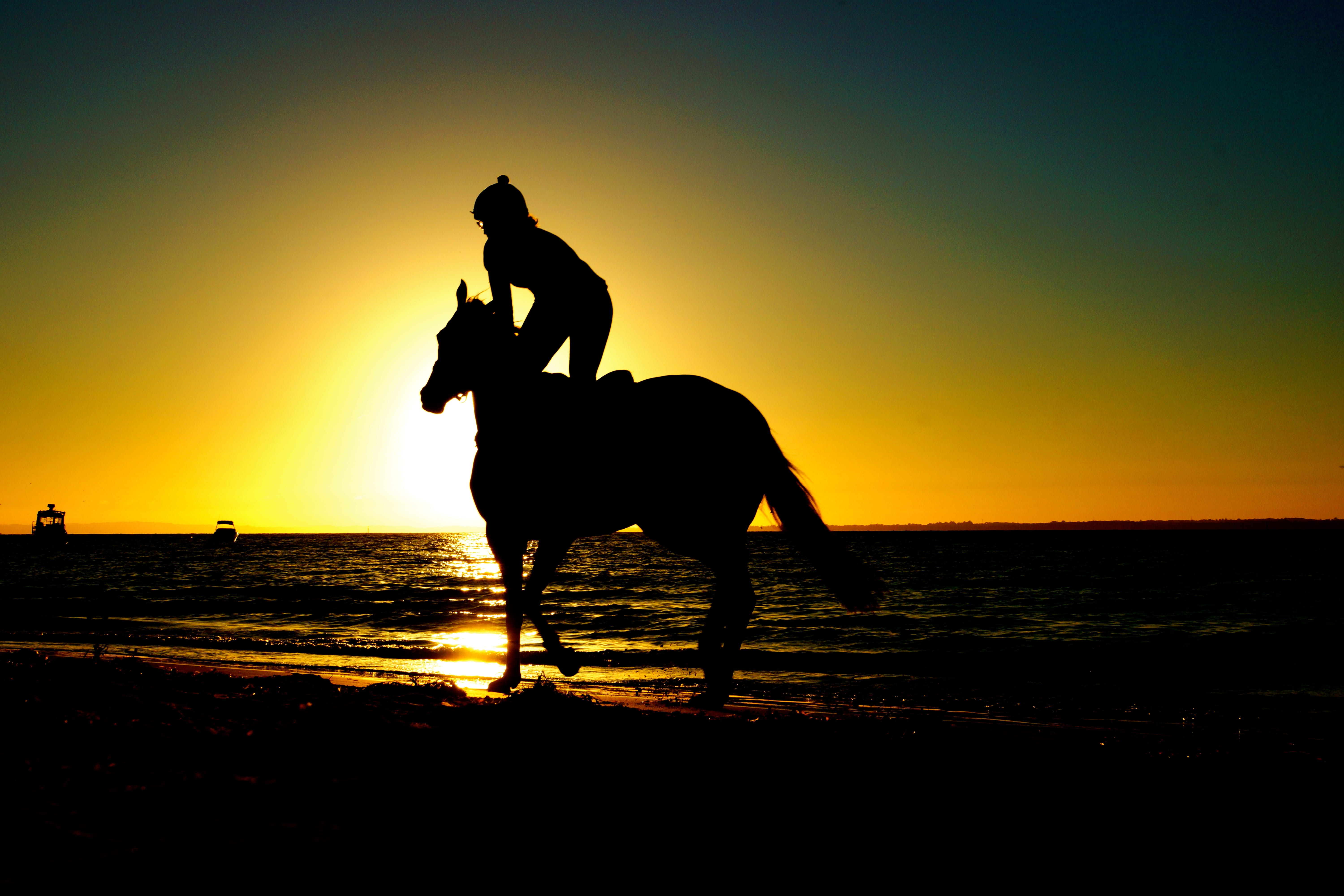 photo, sport, animal themes, hobby, animal wildlife, activity, beach, summer, vacation, person, water, nature, silhouette, hour, horse, one animal, beauty in nature, HD Wallpaper