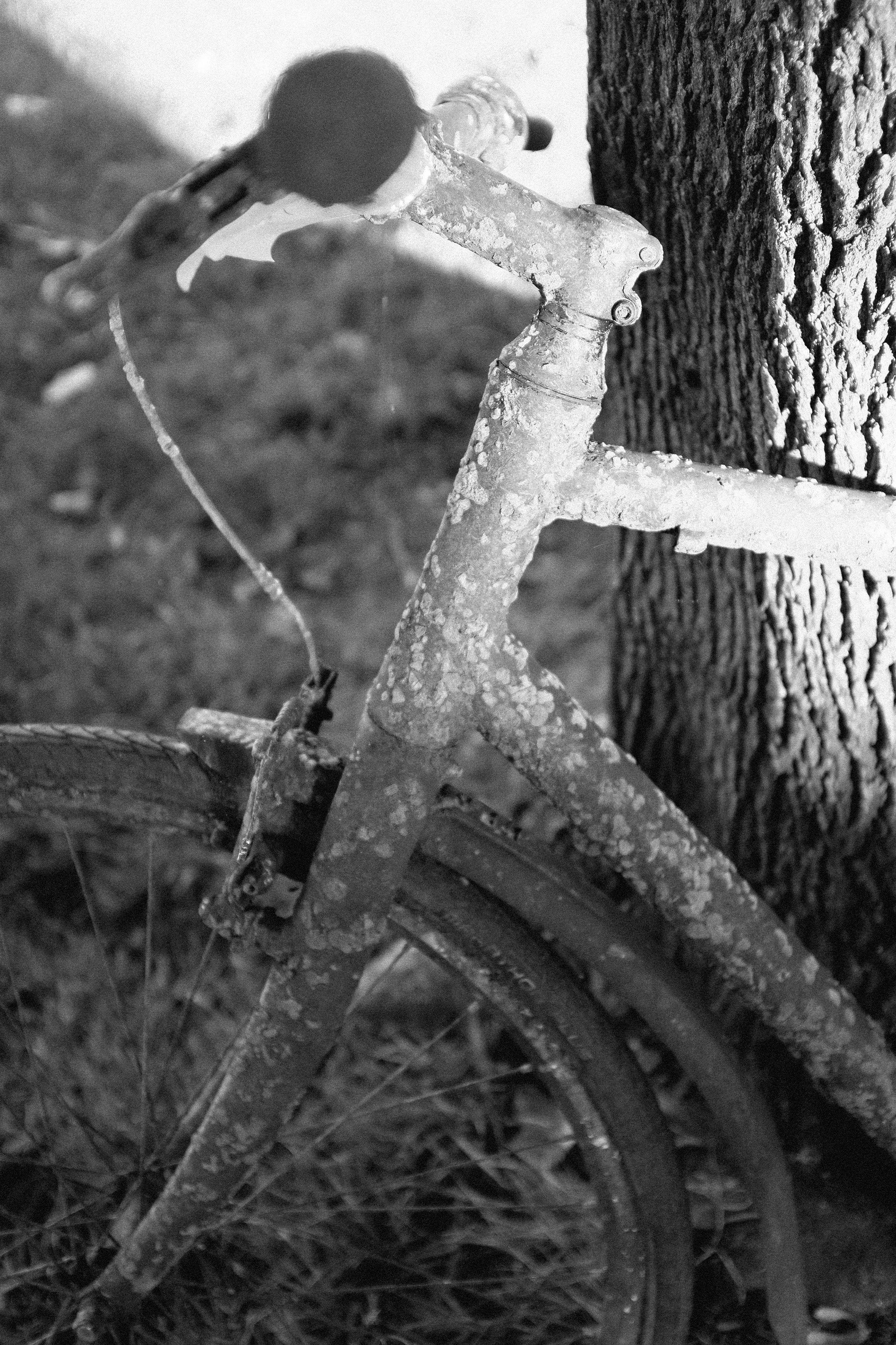 obsolete, closeup, ride, outdoors, peasant, man, nostalgia, focus on foreground, lights, run-down, rusty, trash, traditional, very, abandoned, rust, deterioration, Phone HD Wallpaper