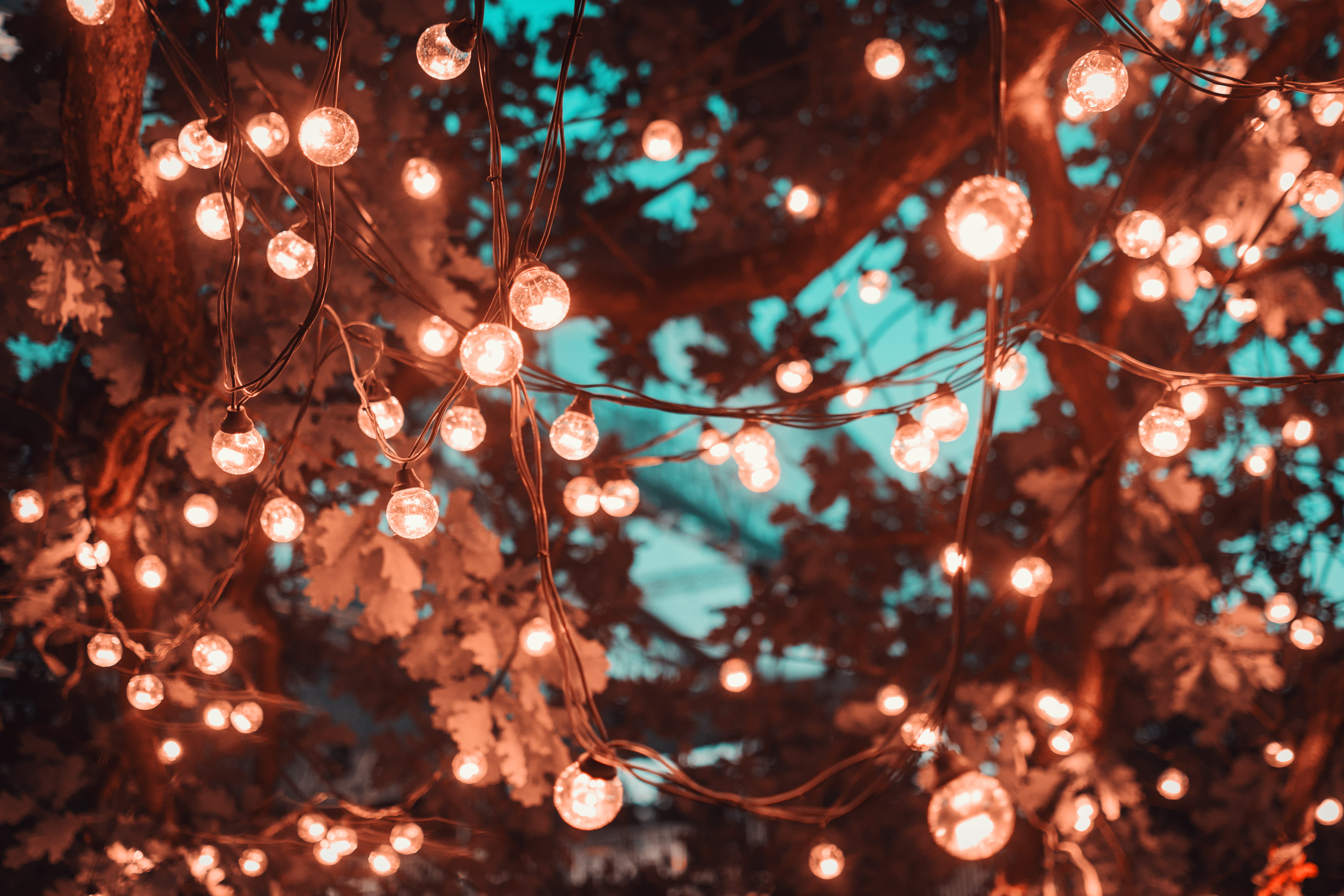 outdoors, bright, selective focus, light, illuminated, string, design, blur, brown, holiday, beauty in nature, christmas lights, no people, lighting equipment, HD Wallpaper