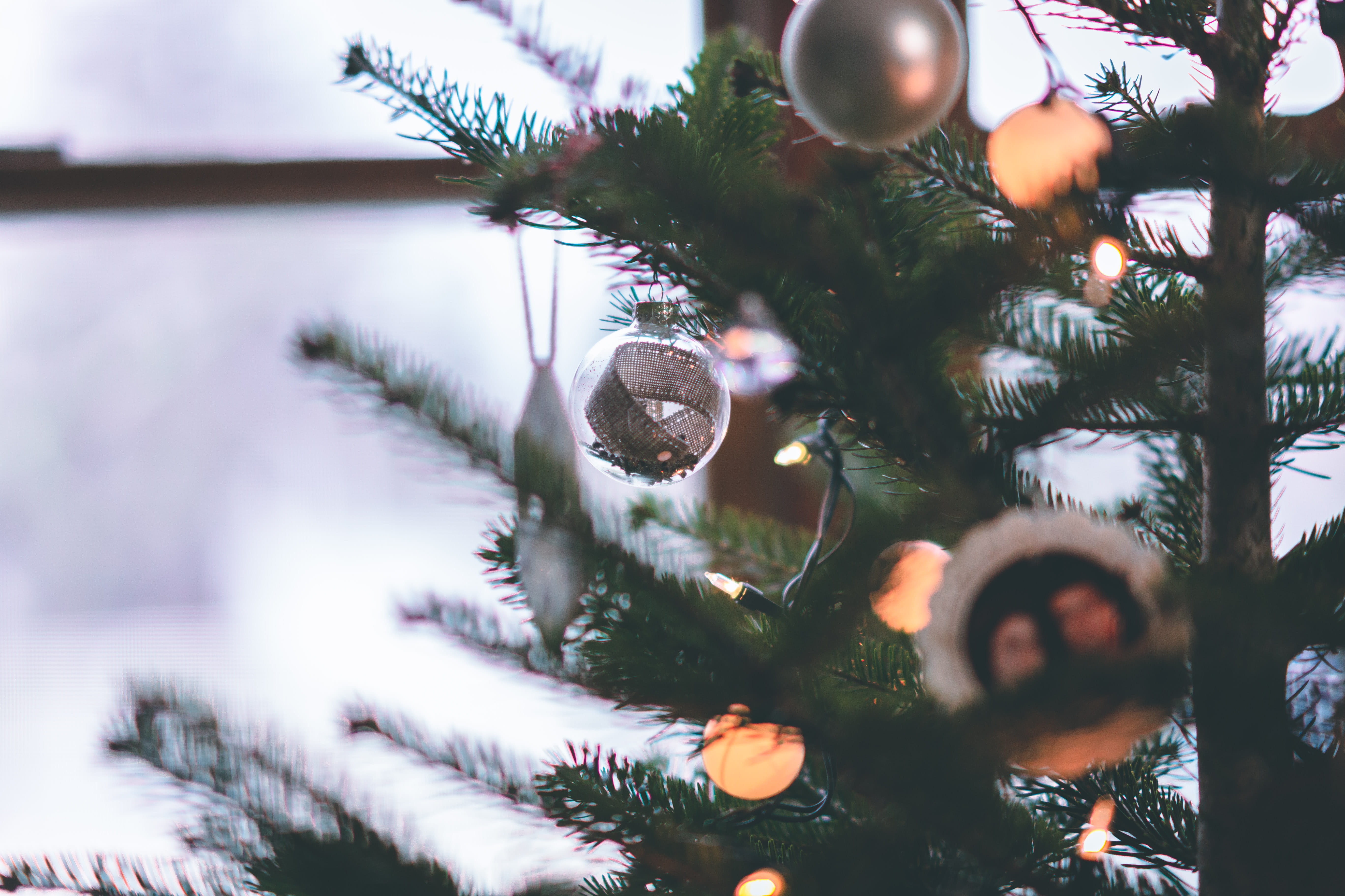 blurred background, baubles, selective focus, christmas decorations, needle - plant part, glisten, beauty in nature, christmas lights, celebration, coniferous tree, HD Wallpaper