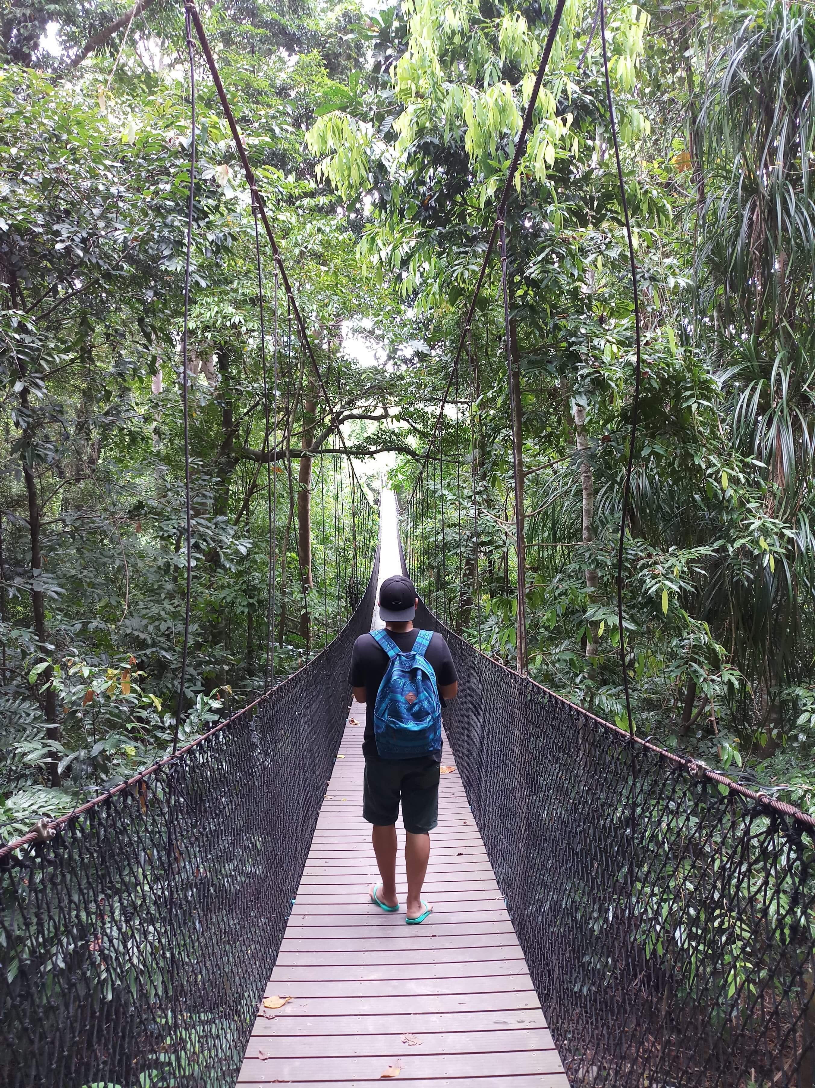 mother nature, direction, adventure, nature, man, hanging bridge, full length, women, bridge - man made structure, real people, wood, trail, railing, footbridge, Phone HD Wallpaper