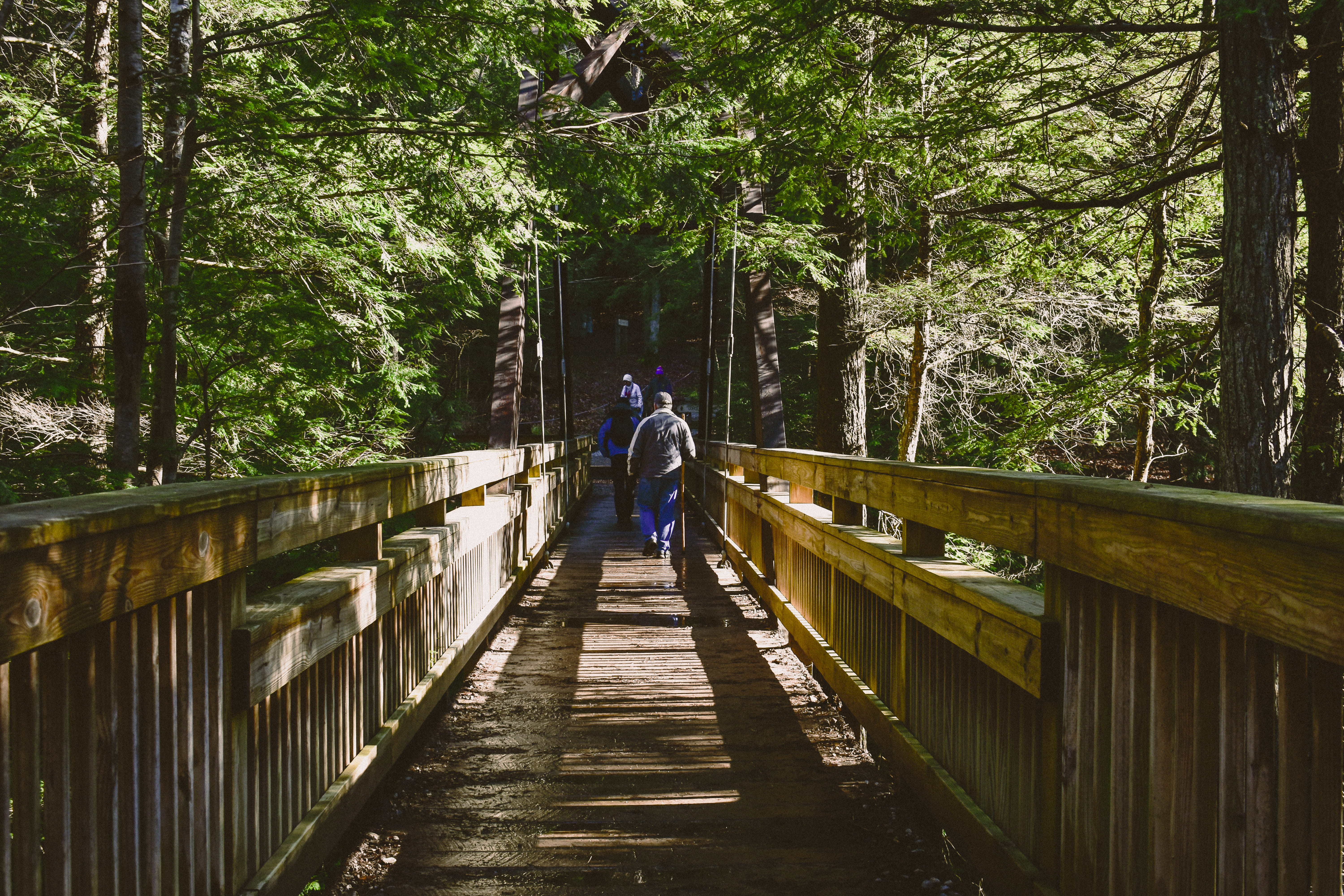 persons, daylight, outdoors, wooden, shadow, guidance, direction, path, foot, environment, tree, two, railing, hikers, summer, park, real people, architecture, HD Wallpaper