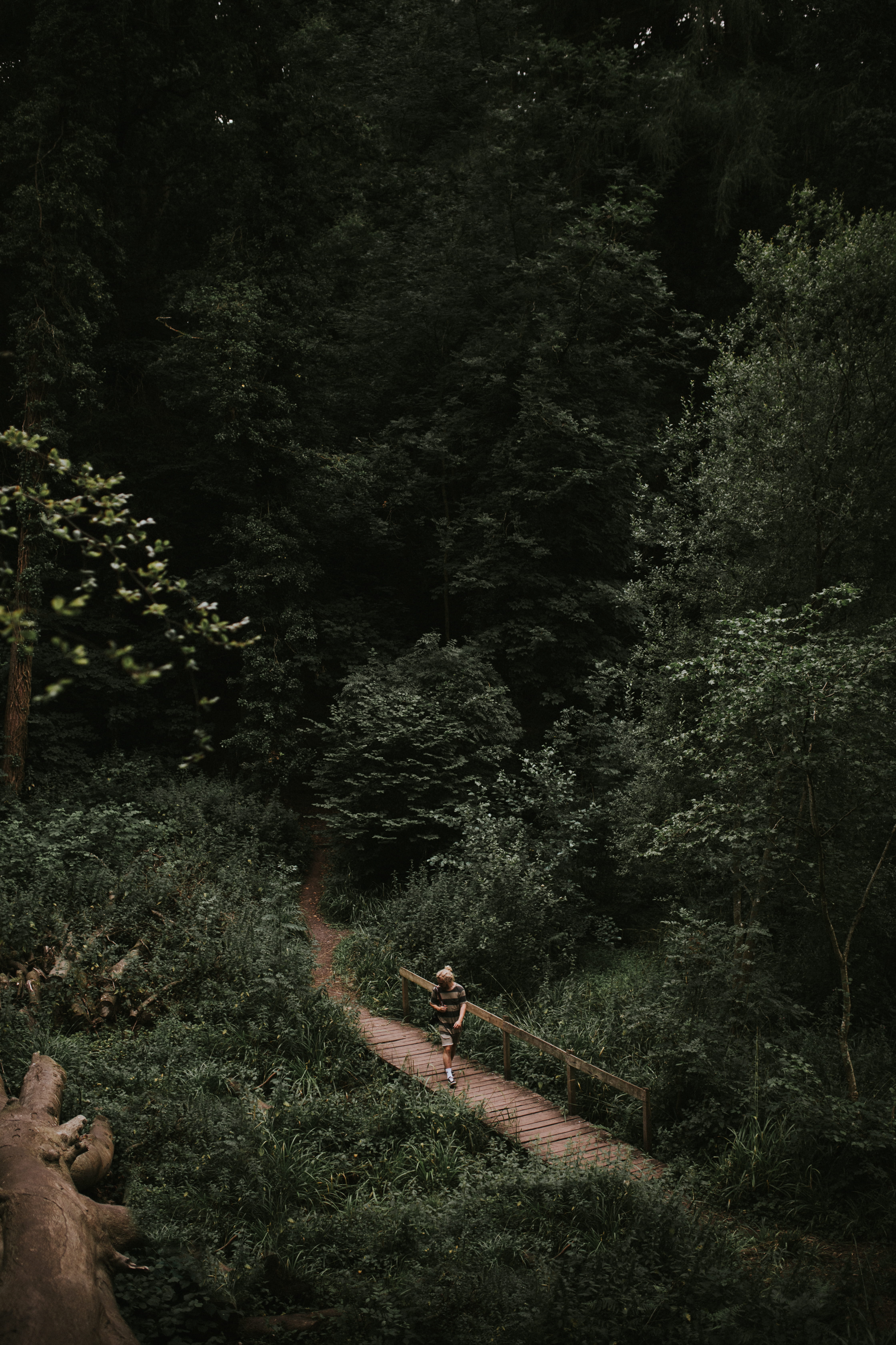 soft, land, natural, people, leisure activity, person, real people, tone, mist, top, focu, tranquility, lush foliage, bridge, forest, path, lake, men, transportation, Phone HD Wallpaper