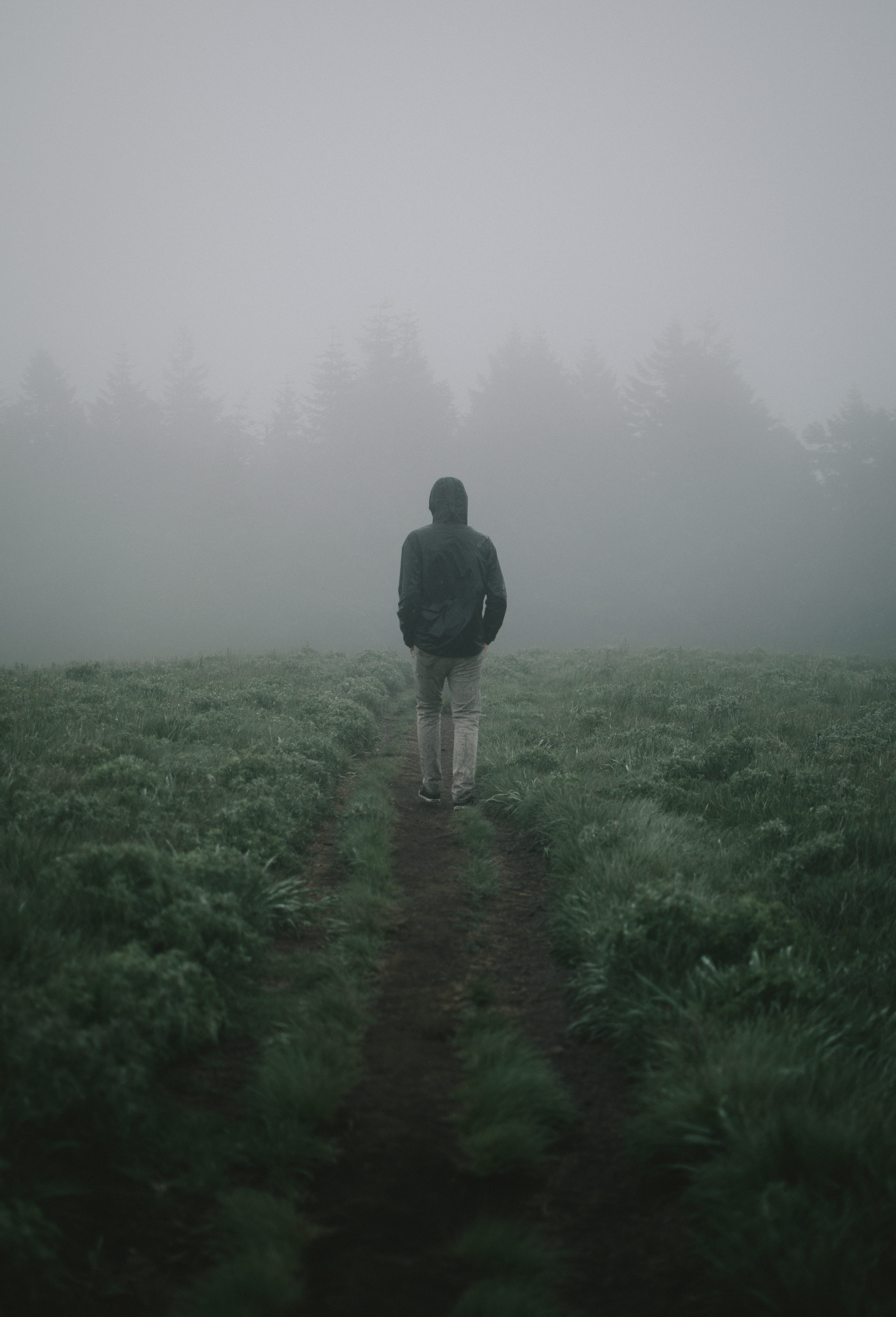 hike, beauty in nature, plant, men, hood - clothing, trail, trees, rain, fog, outdoors, real people, land, grass, tranquility, standing, field, full length, Phone HD Wallpaper