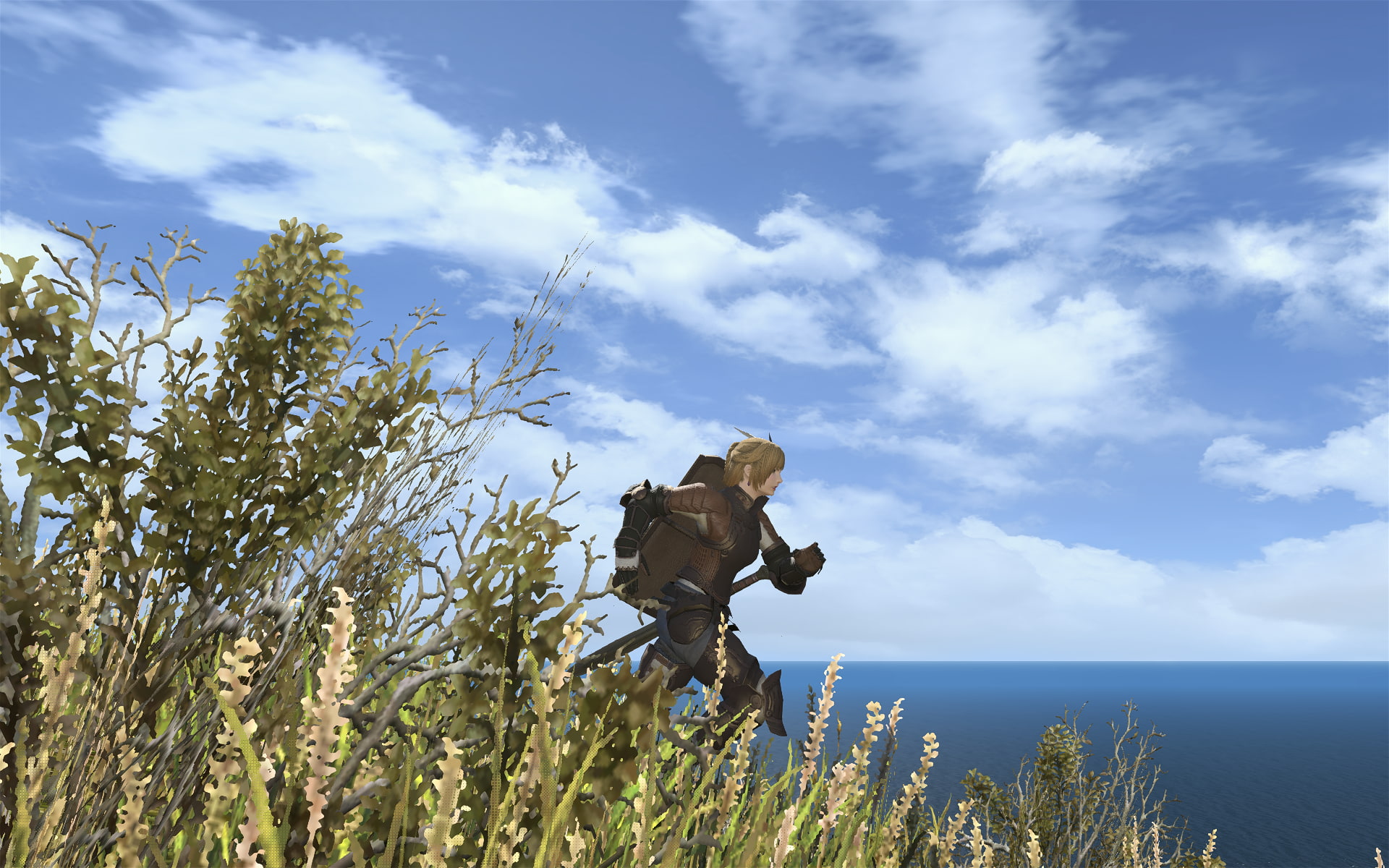 real people, beauty in nature, non-urban scene, tree, lifestyles, sea, sky, one person, water, plant, cloud - sky, Final Fantasy XIV: A Realm Reborn, tranquil scene, HD Wallpaper