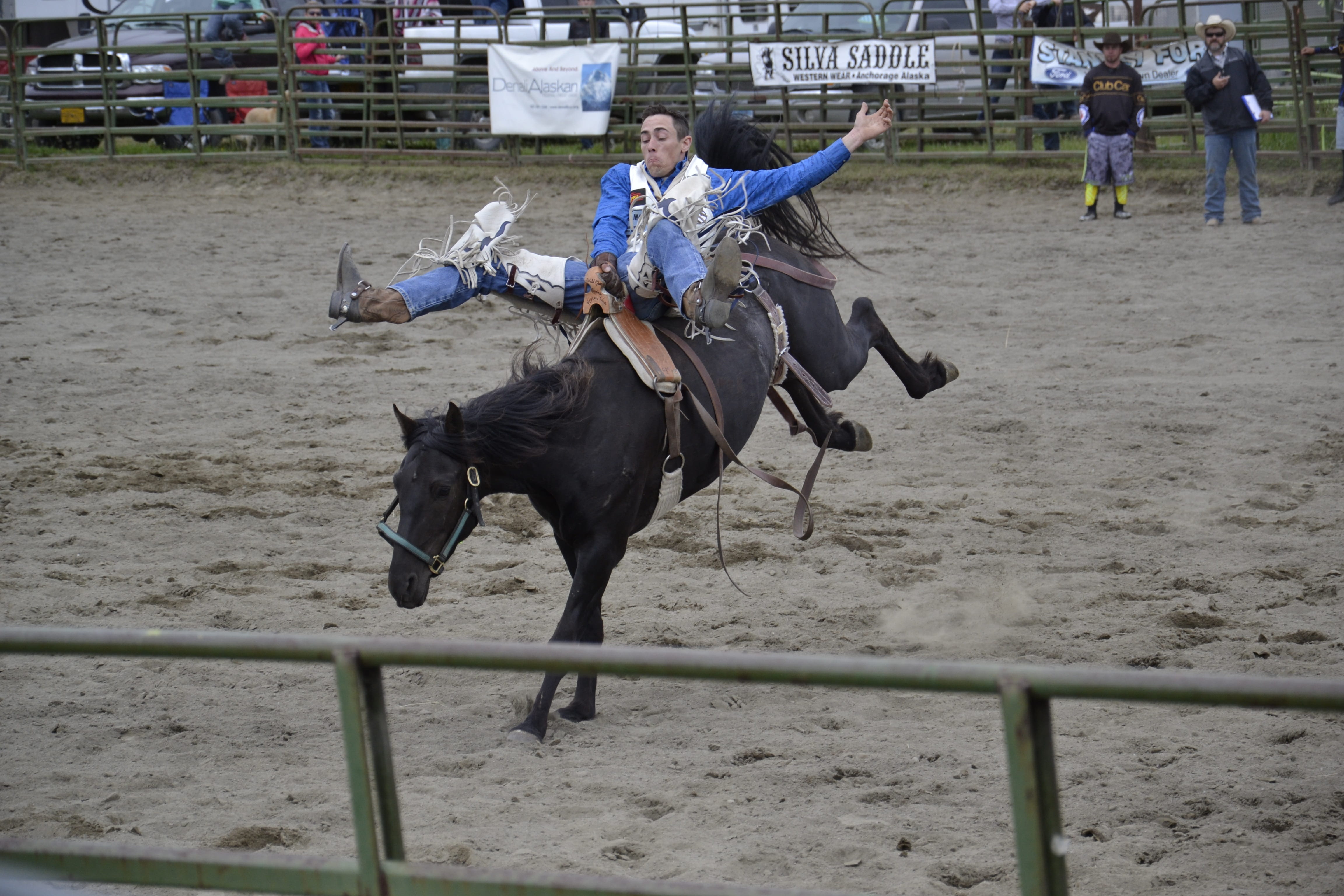 real people, rodeo, risky, full length, animal wildlife, mammal, human arm, man, rope, pets, equestrian, herbivorous, one person, riding, animal, one animal, HD Wallpaper