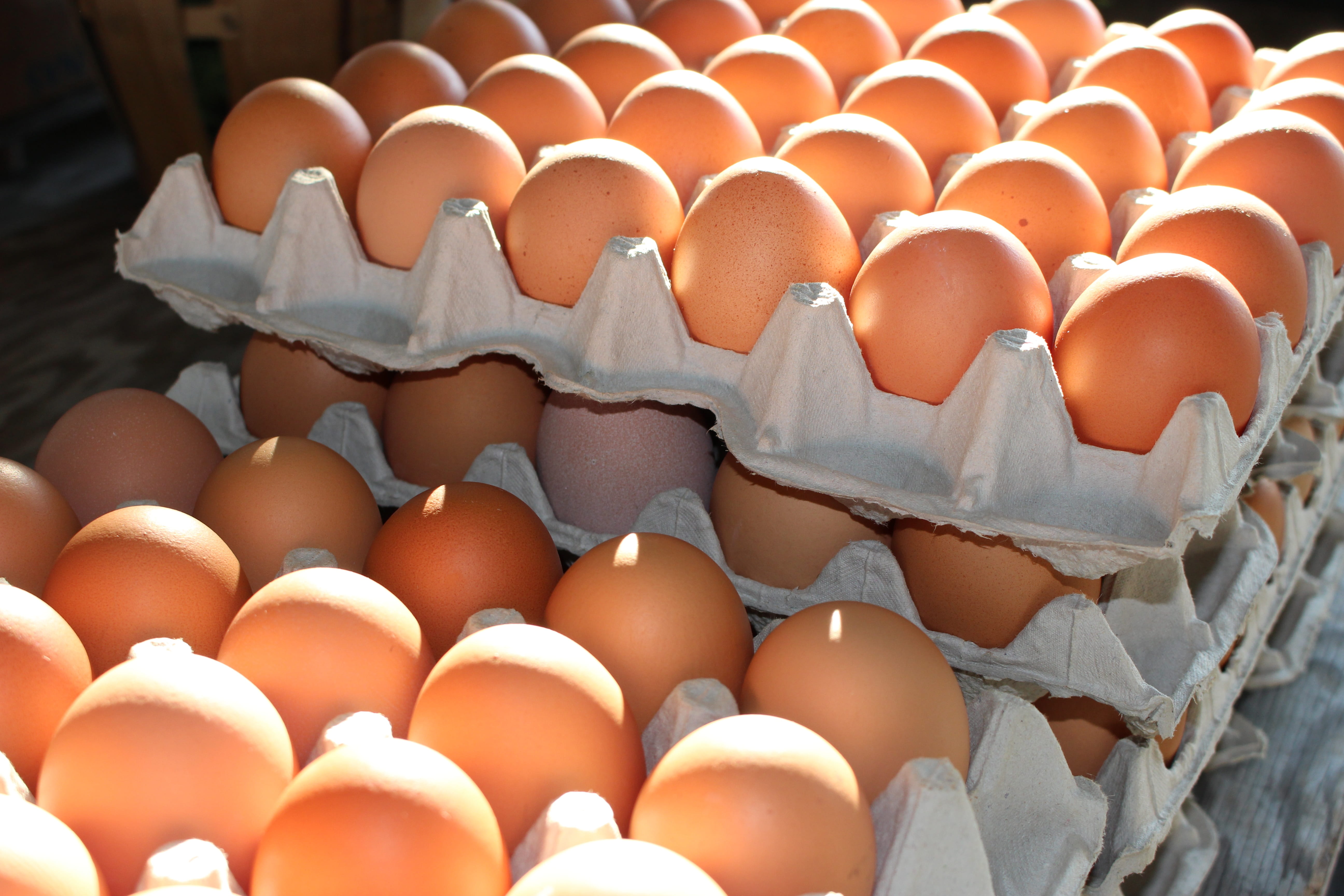 large group of objects, fragility, repetition, market, abundance, wellbeing, vulnerability, brown, freshness, egg carton, egg, no people, order, food, agriculture, HD Wallpaper