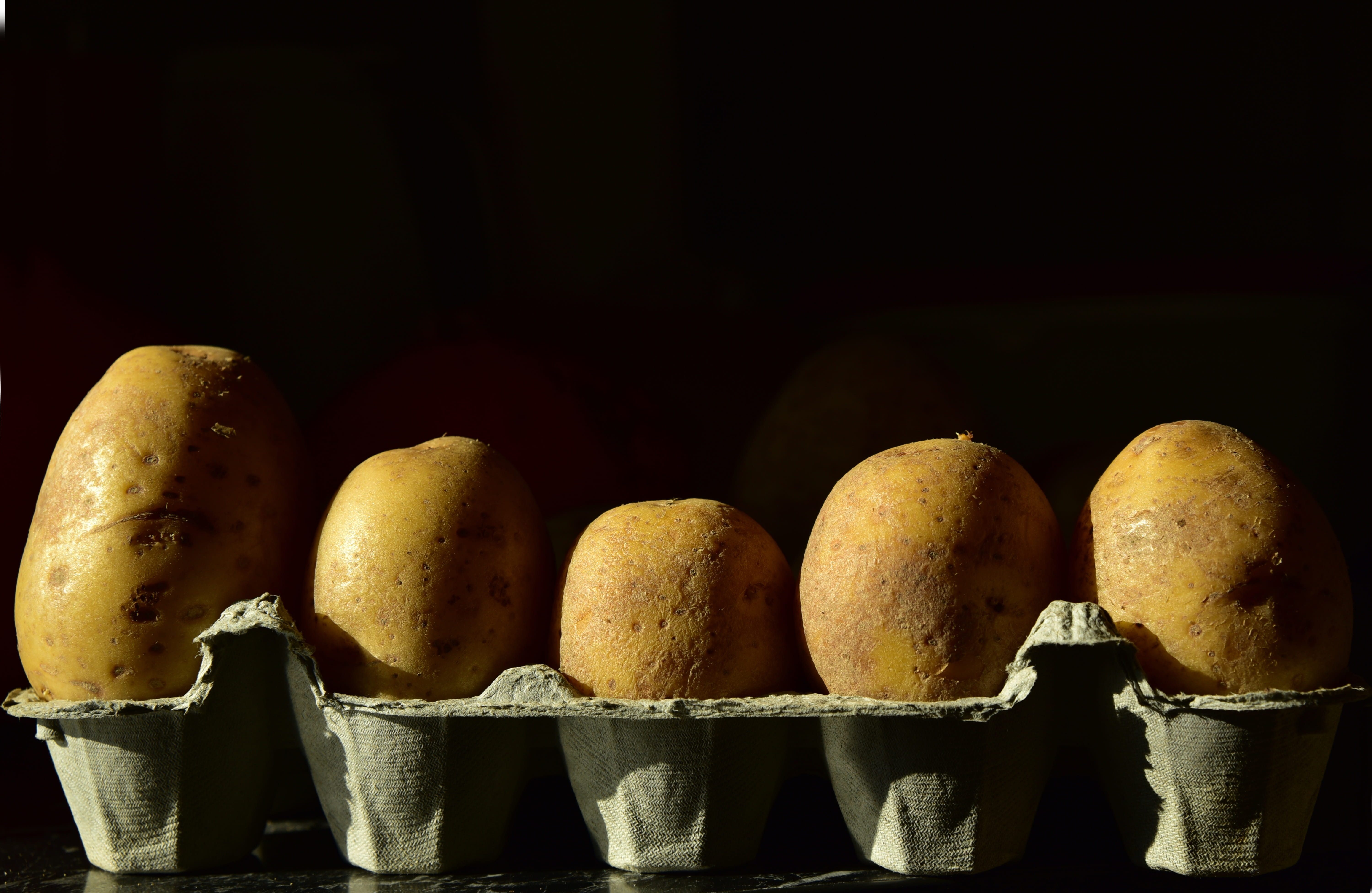 cook, copy space, wellbeing, healthy eating, food, large group of objects, 5K, close-up, freshness, ingredient, false, group of objects, arrangement, vitamins, HD Wallpaper
