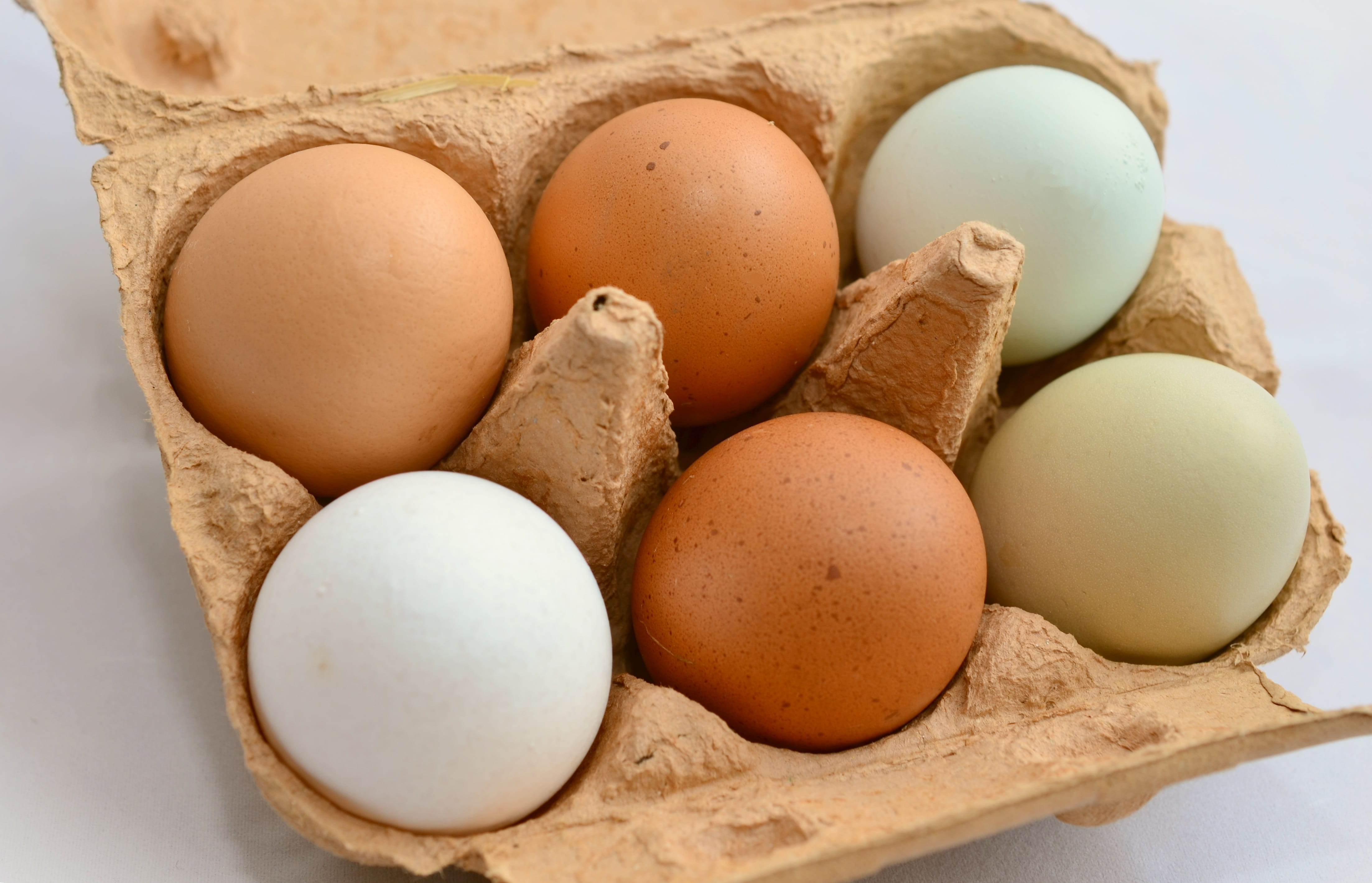 close-up, freshness, no people, fragility, six, green casual, tray, indoors, carton, organic, raw food, egg carton, egg, food, nutrition, healthy eating, HD Wallpaper