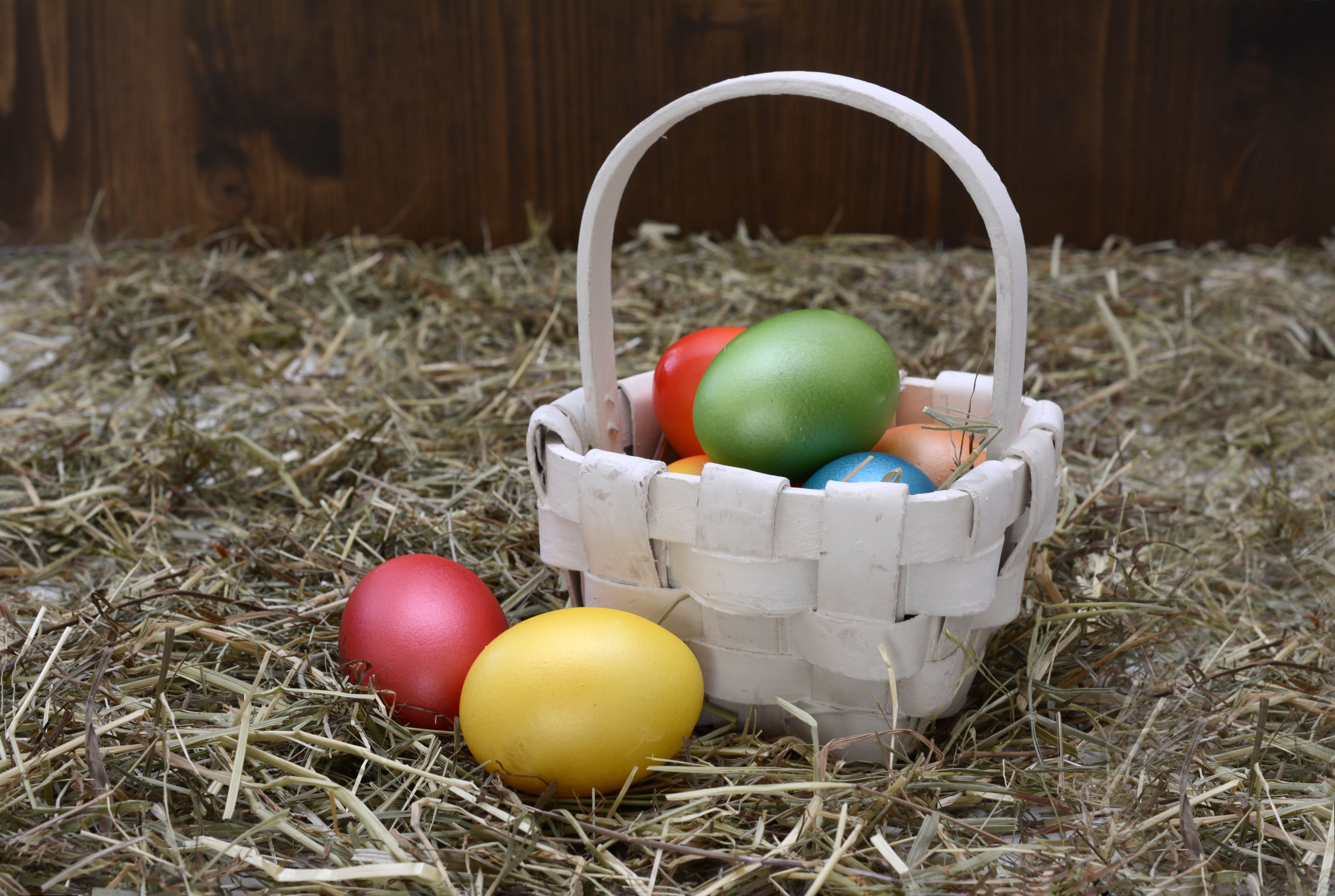easter, colorful eggs, eggs, no people, colorful, multi colored, hay, osterkorb, grass, day, healthy eating, decoration, easter egg, food and drink, easter greetings, HD Wallpaper