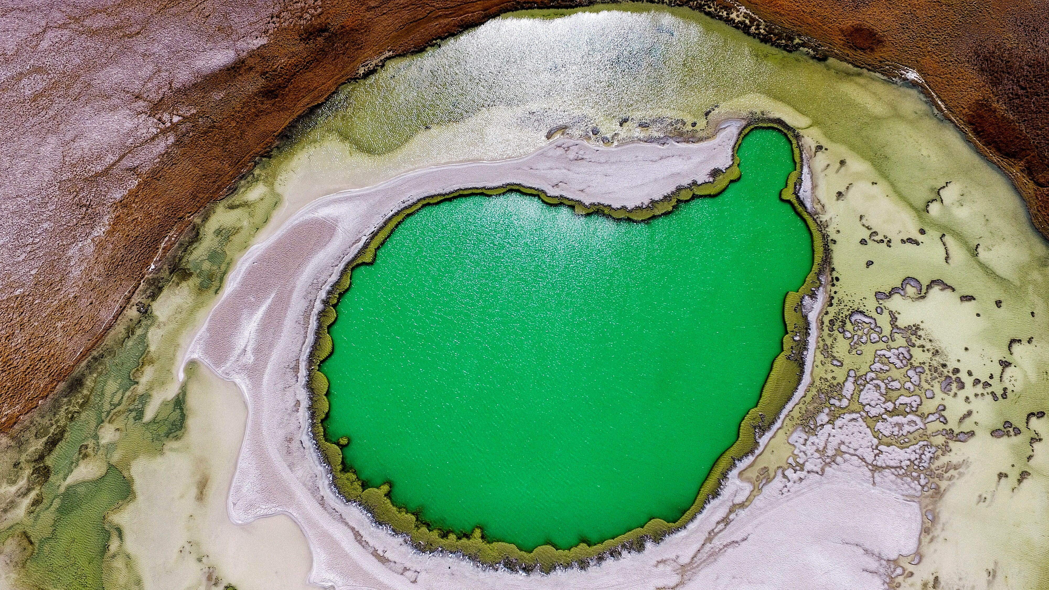 one colour, top, green lagoon, no people, high angle view, full frame, textured, close-up, kidney, abstract, indoors, directly above, green color, 4K, HD Wallpaper