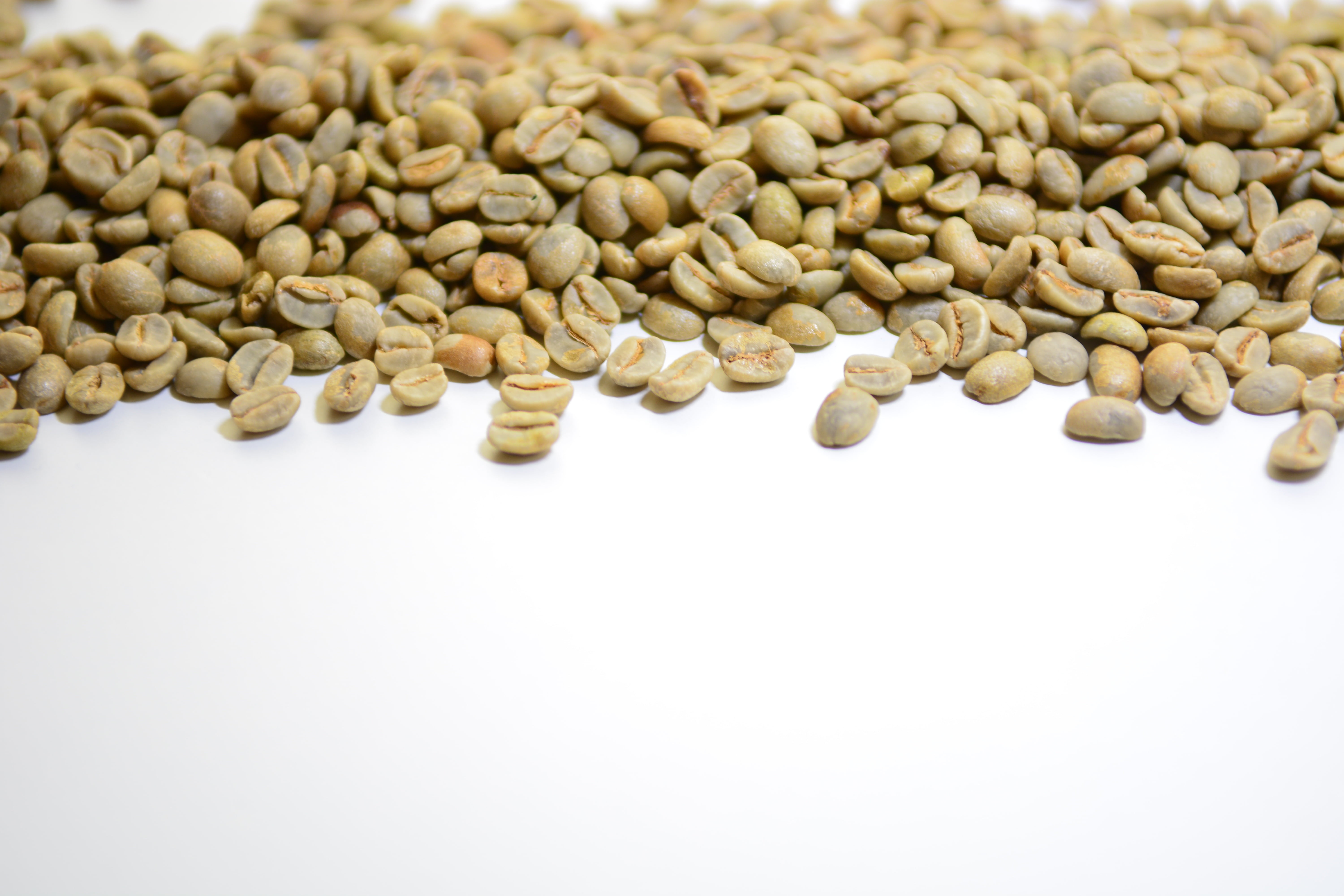 green coffee, large group of objects, white background, studio shot, selective focus, legume family, indoors, healthy eating, cardamom, close-up, high angle view, HD Wallpaper