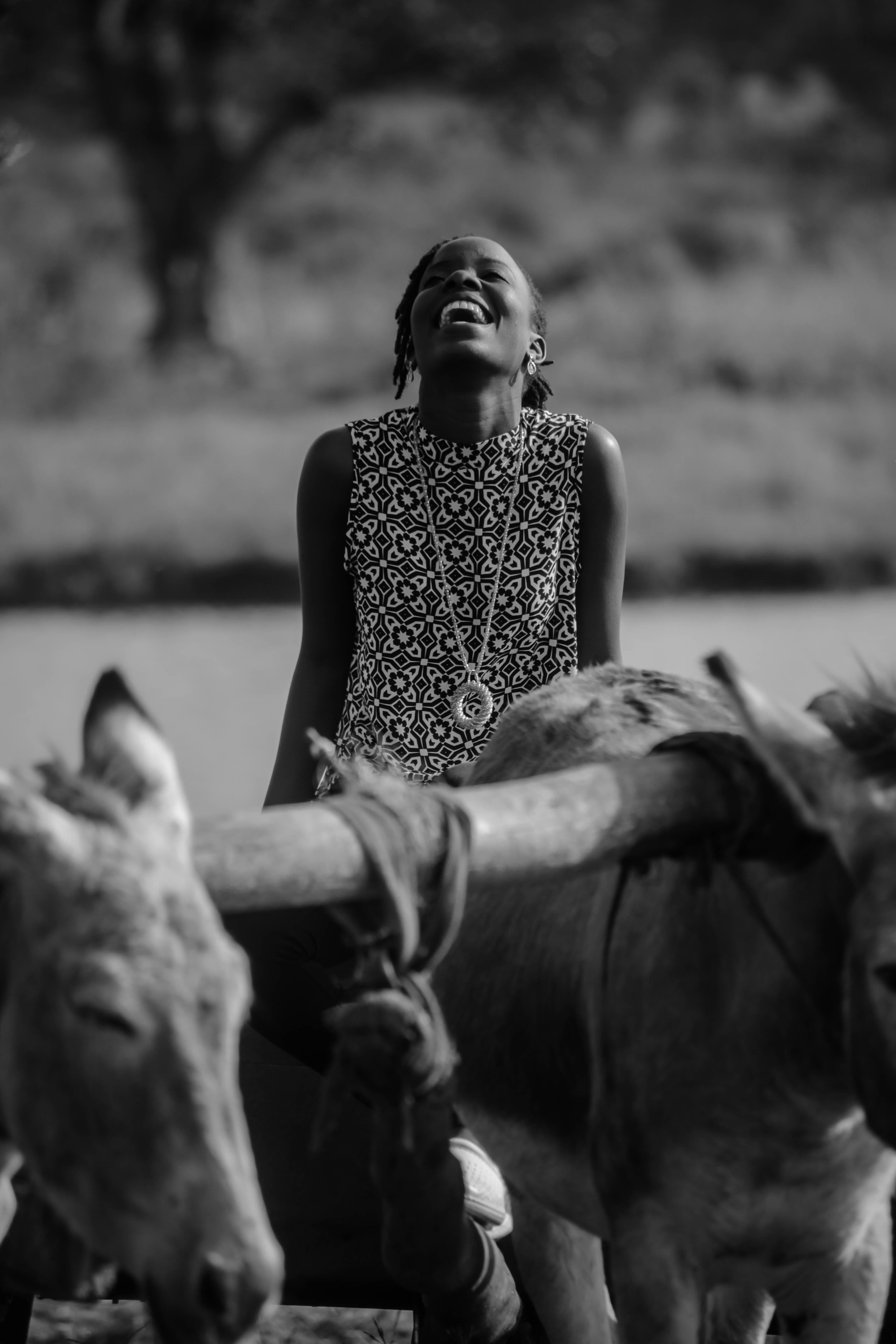 livestock, bull, cow, shorts, animal wildlife, women, longhorn, 5K, one animal, finger, domestic, real people, woman, focus on foreground, outdoors, teenager, Phone HD Wallpaper