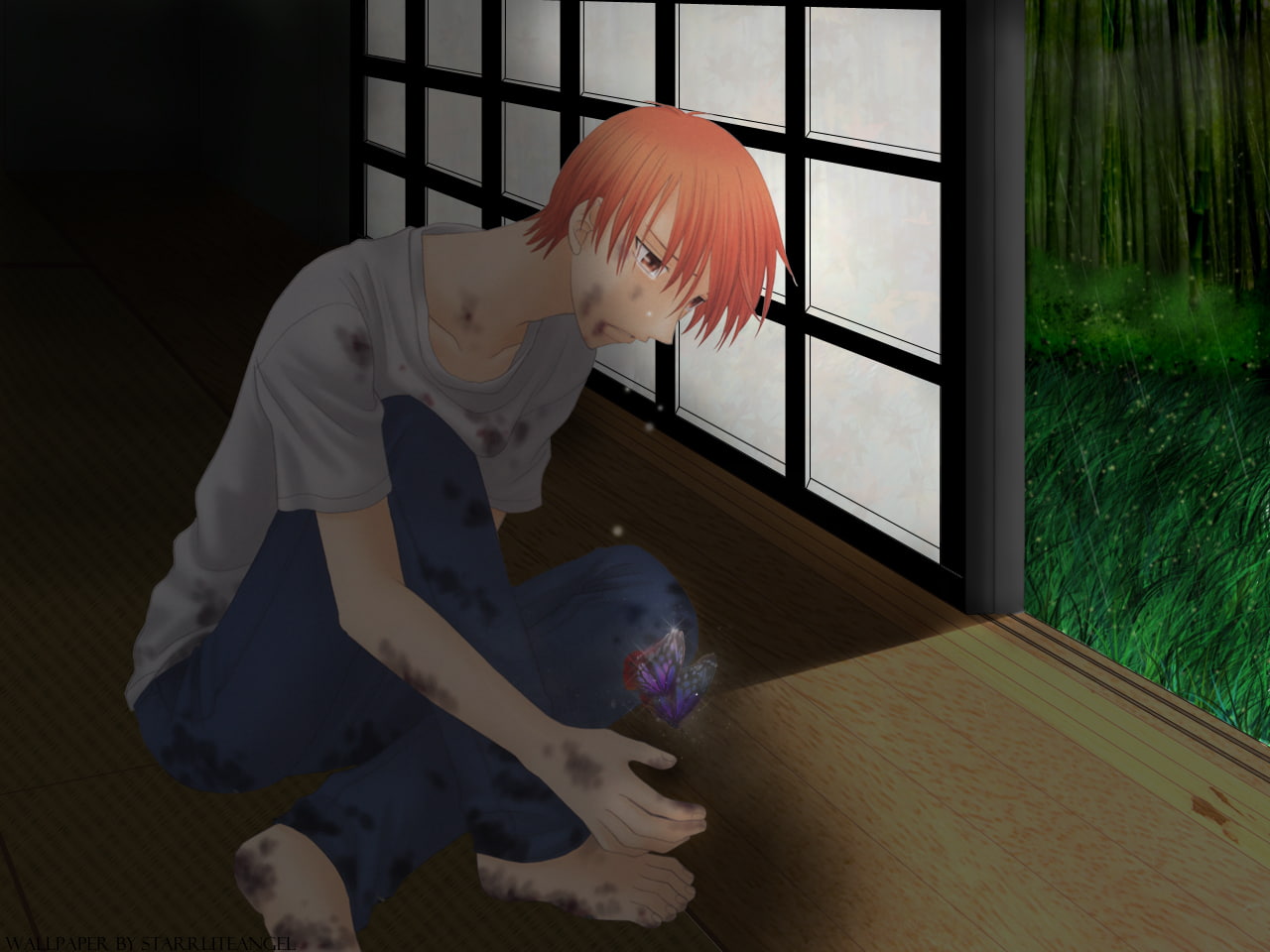 Tears, Fruits Basket, Butterfly, 720P, Kyo Sohma, Anime, HD Wallpaper