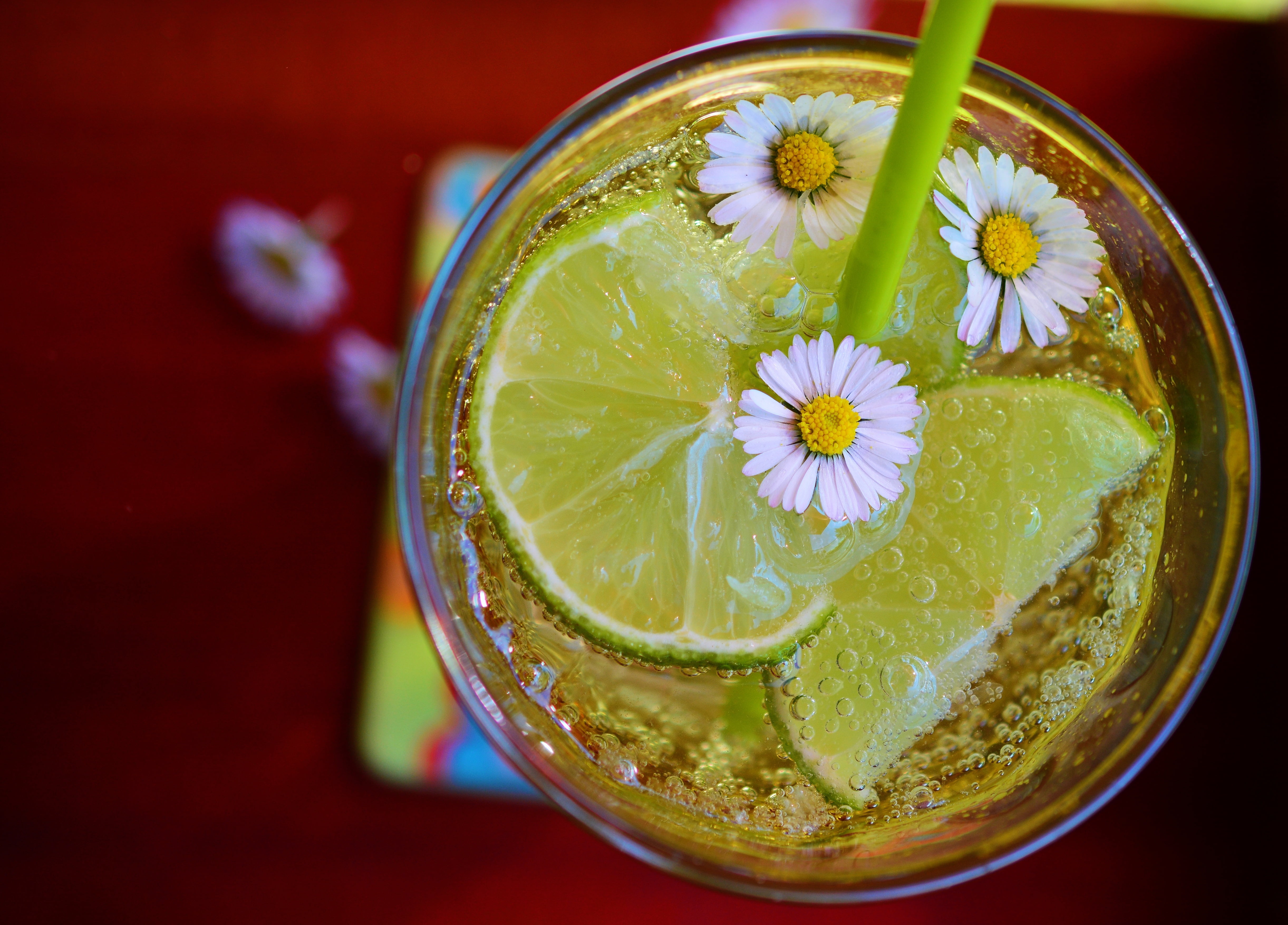 wellbeing, ice, no people, slice, liquid, lemon, garnish, food, clear, lime, citrus Fruit, green Color, yellow, juice, chamomile, directly above, refreshment, HD Wallpaper