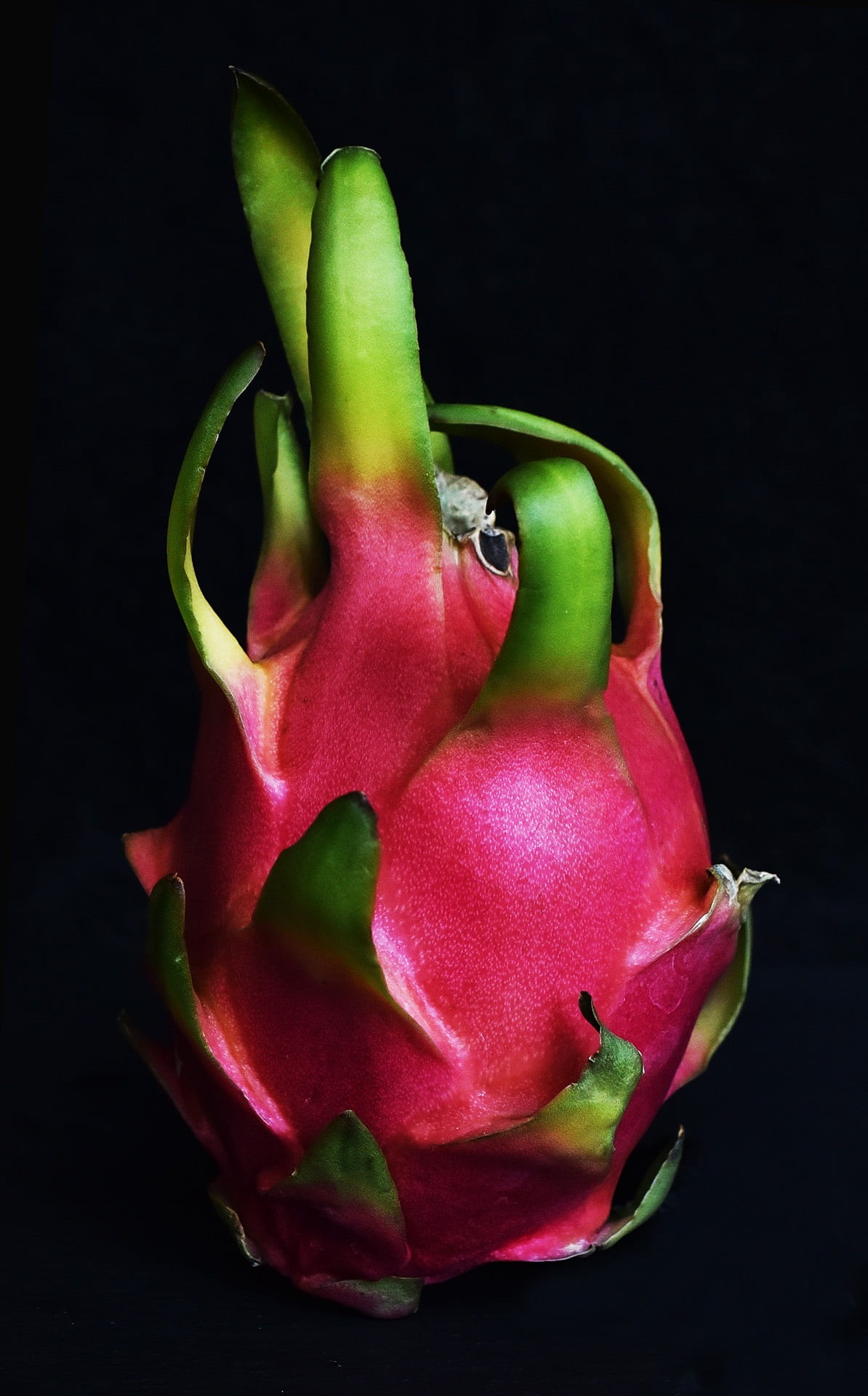pitaya, food, vitamins, dragon fruit, flower, asia, indoors, pepper, close-up, black background, wellbeing, cut out, studio shot, freshness, red, fetus, Phone HD Wallpaper