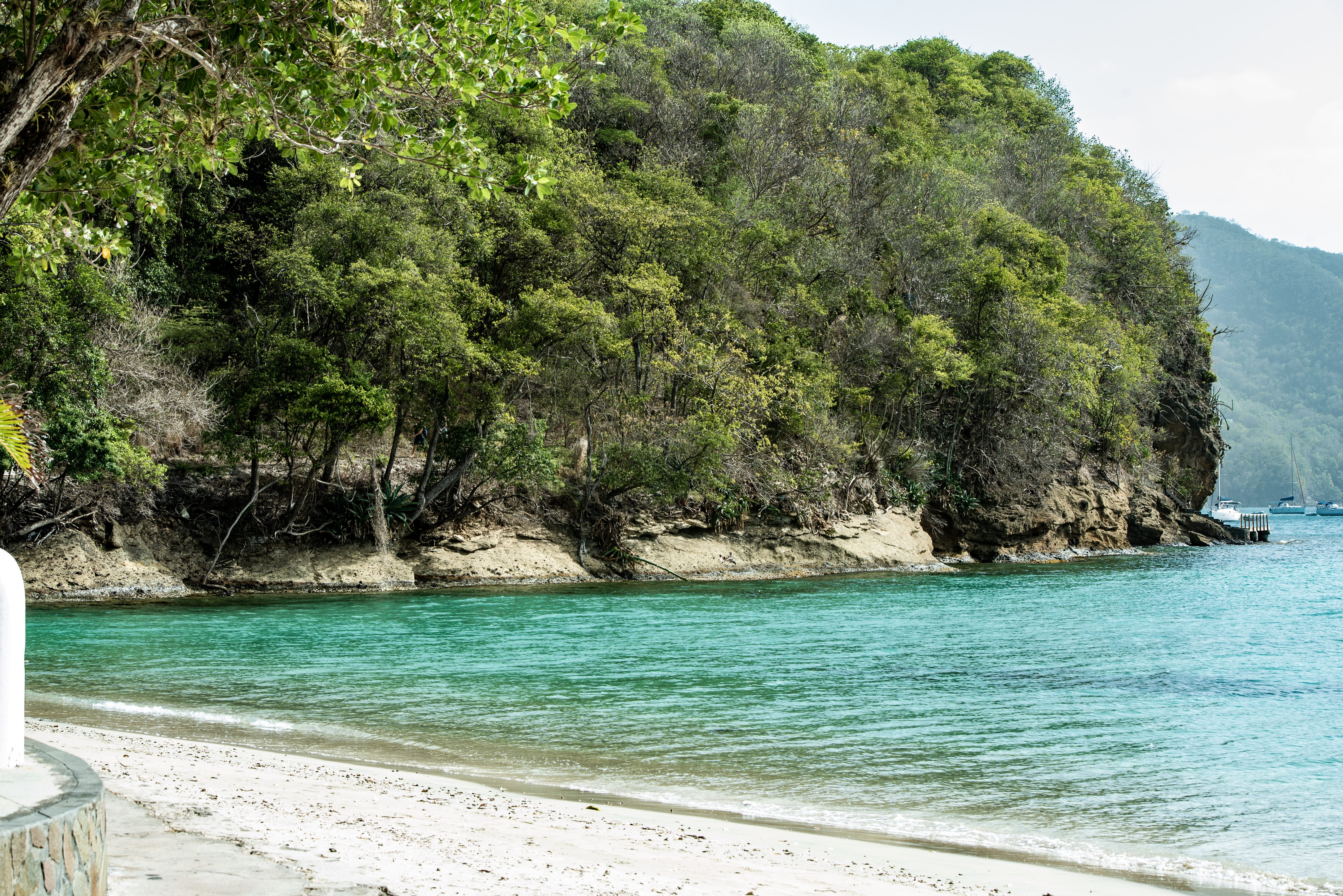 plant, beach, tranquility, sand, growth, mountain, 5K, outdoors, green color, caribbean, sky, scenics - nature, bay, day, turquoise colored, idyllic, sea, HD Wallpaper