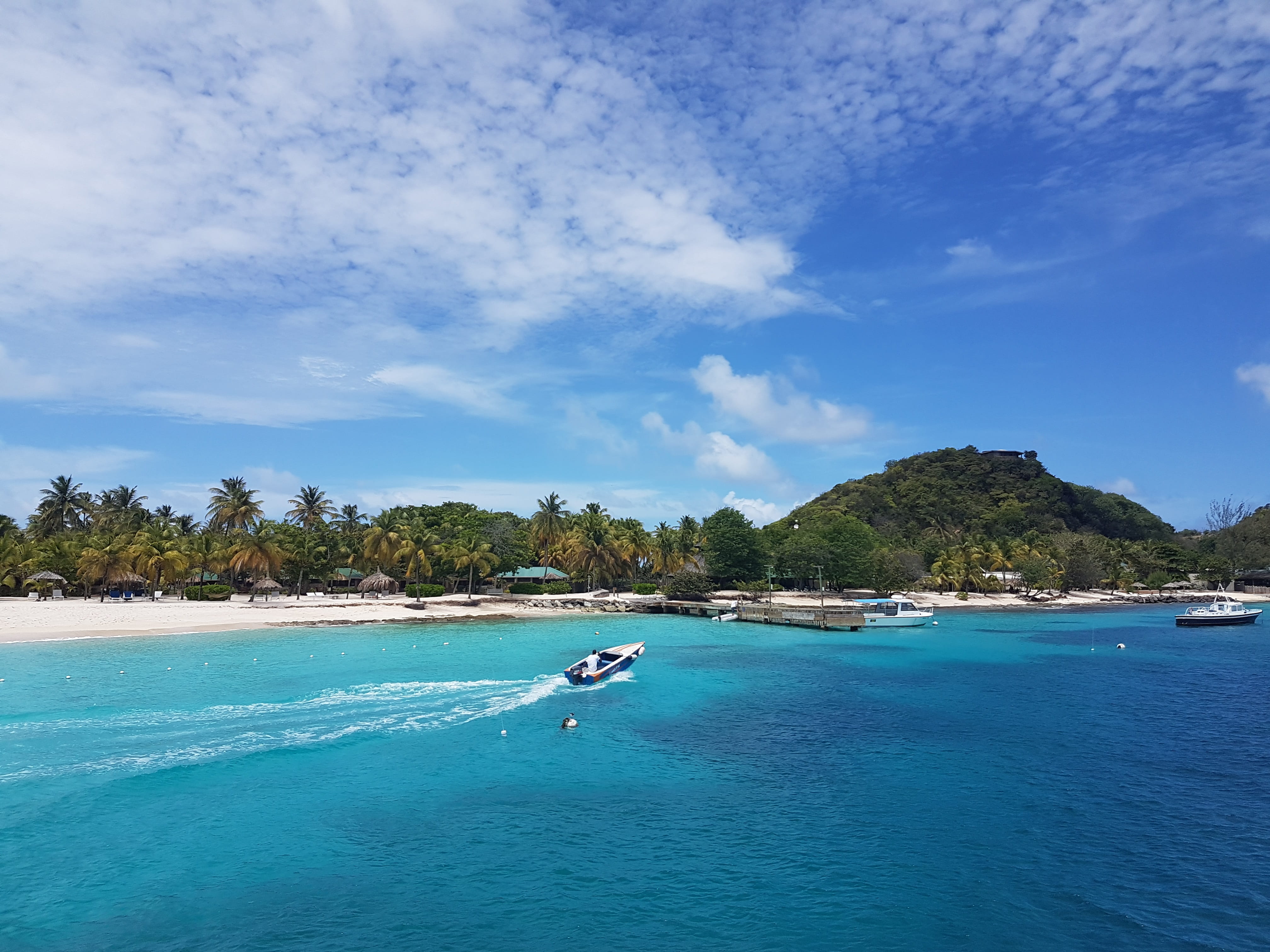 summer, motorboat, scenics, vacation, blue, Paradise, sky, waterfront, day, scenics - nature, clody, palm island, land, beach, Grenadines, caribbean, tranquility, HD Wallpaper