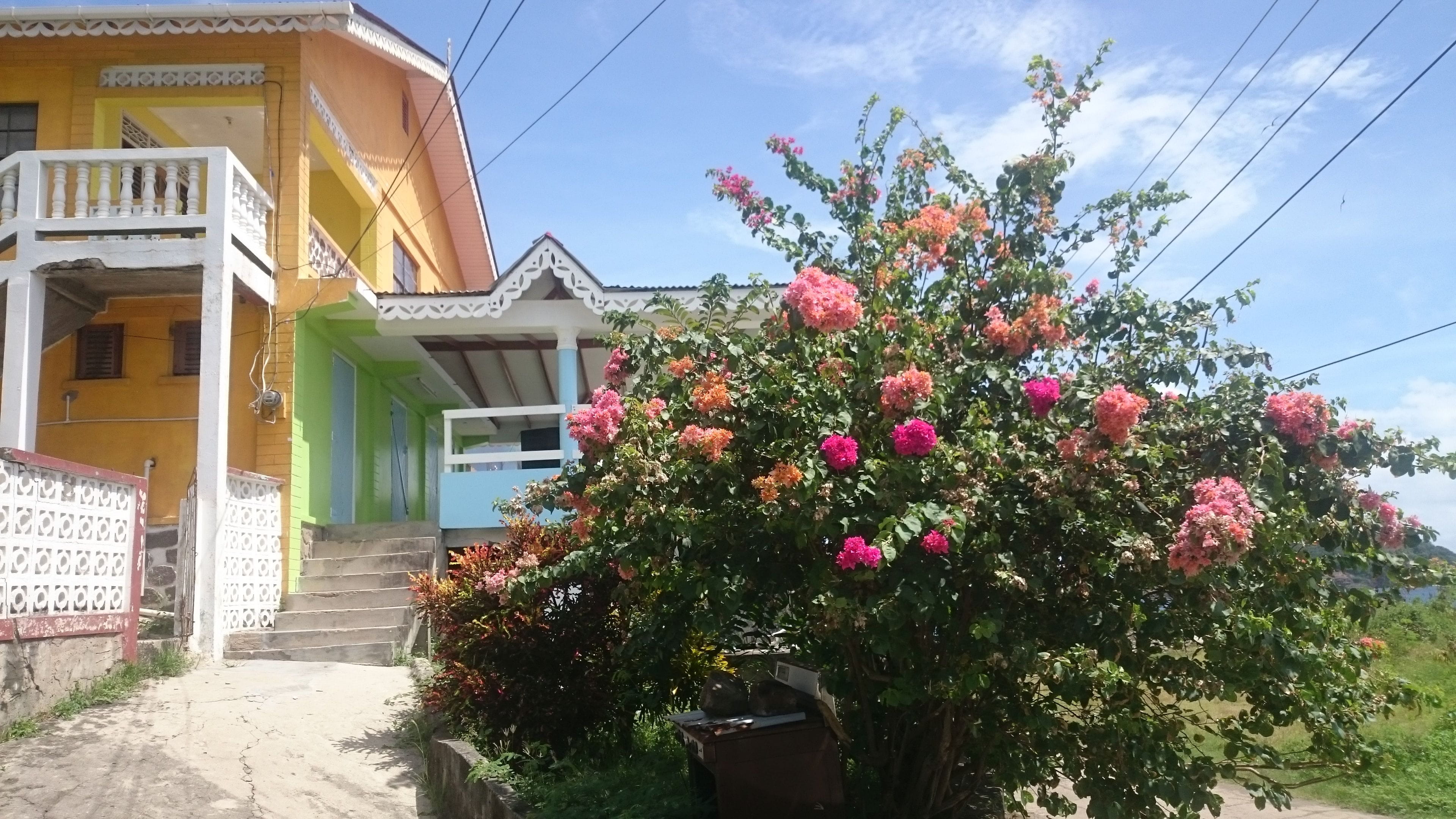 colorful, low angle view, sky, built structure, pink color, gingerbread, bequia, paget farm, day, no people, house, tree, flowering plant, building, freshness, HD Wallpaper
