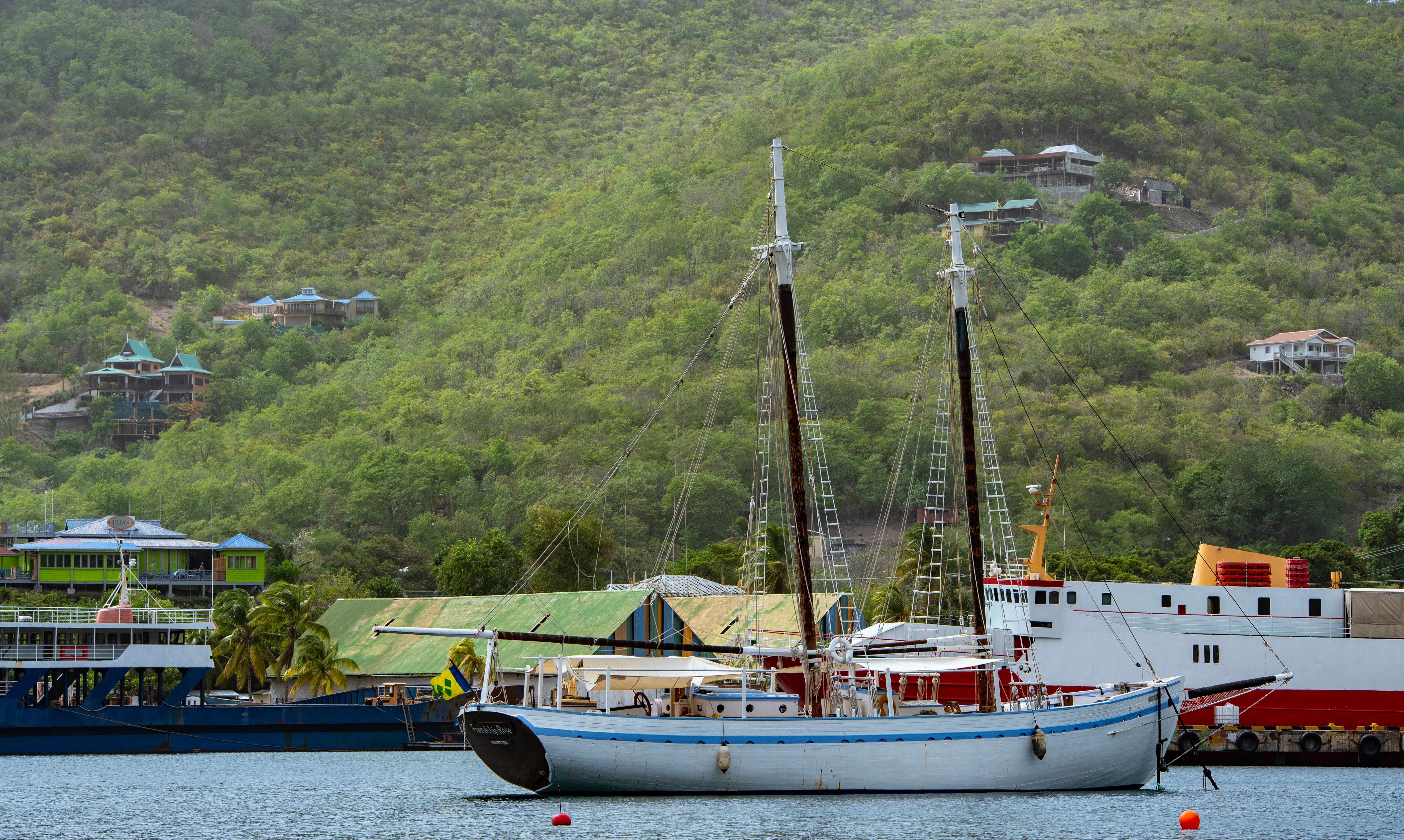 transportation, sailors wilderness tours, nautical vessel, becquia, tree, nature, waterfront, architecture, no people, plant, moored, pole, yacht, day, HD Wallpaper