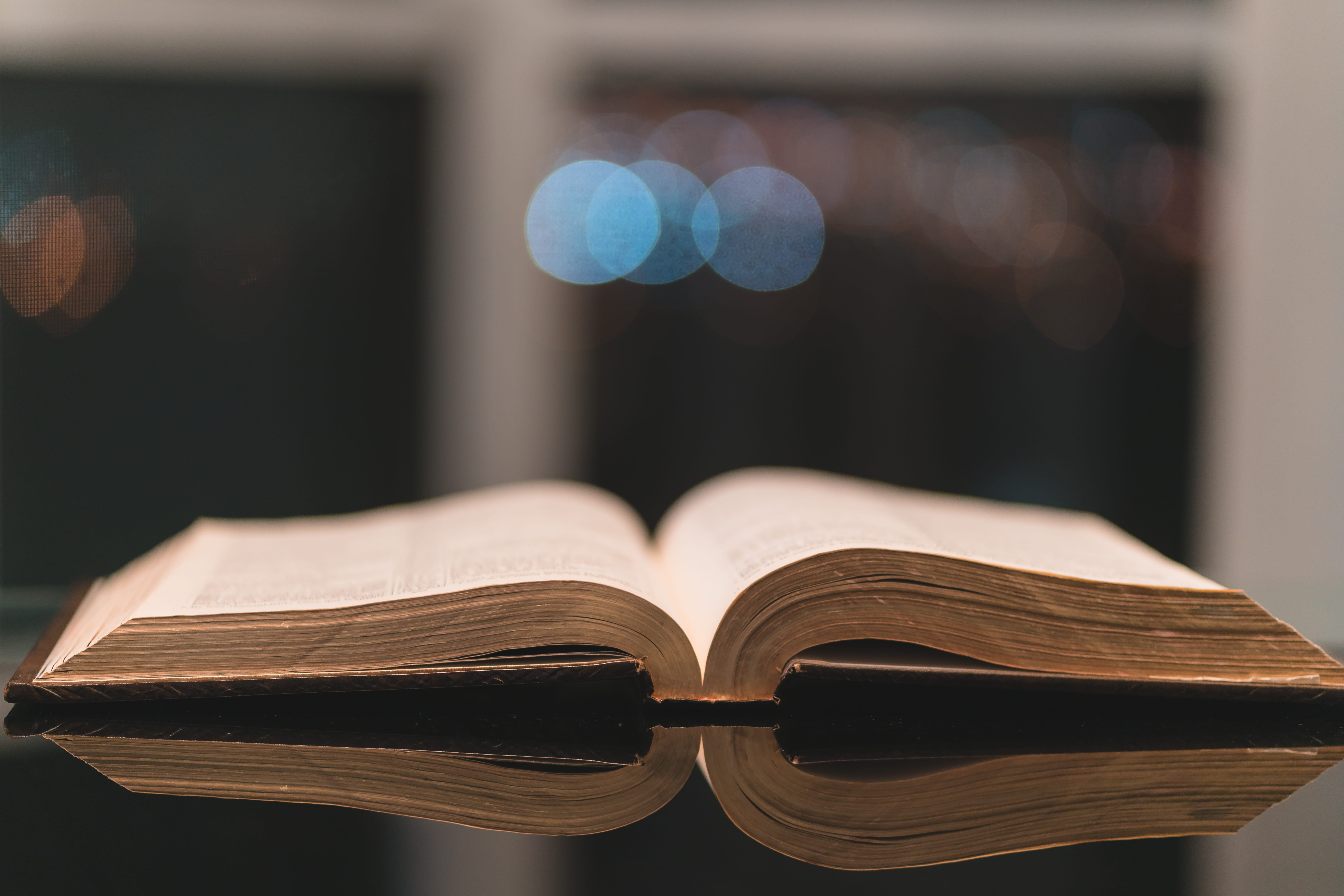 activity, book, hardcover book, 5K, religion, indoors, still life, wisdom, bokeh, photography, reading, opened, open, bible, studying, selective, publication, HD Wallpaper