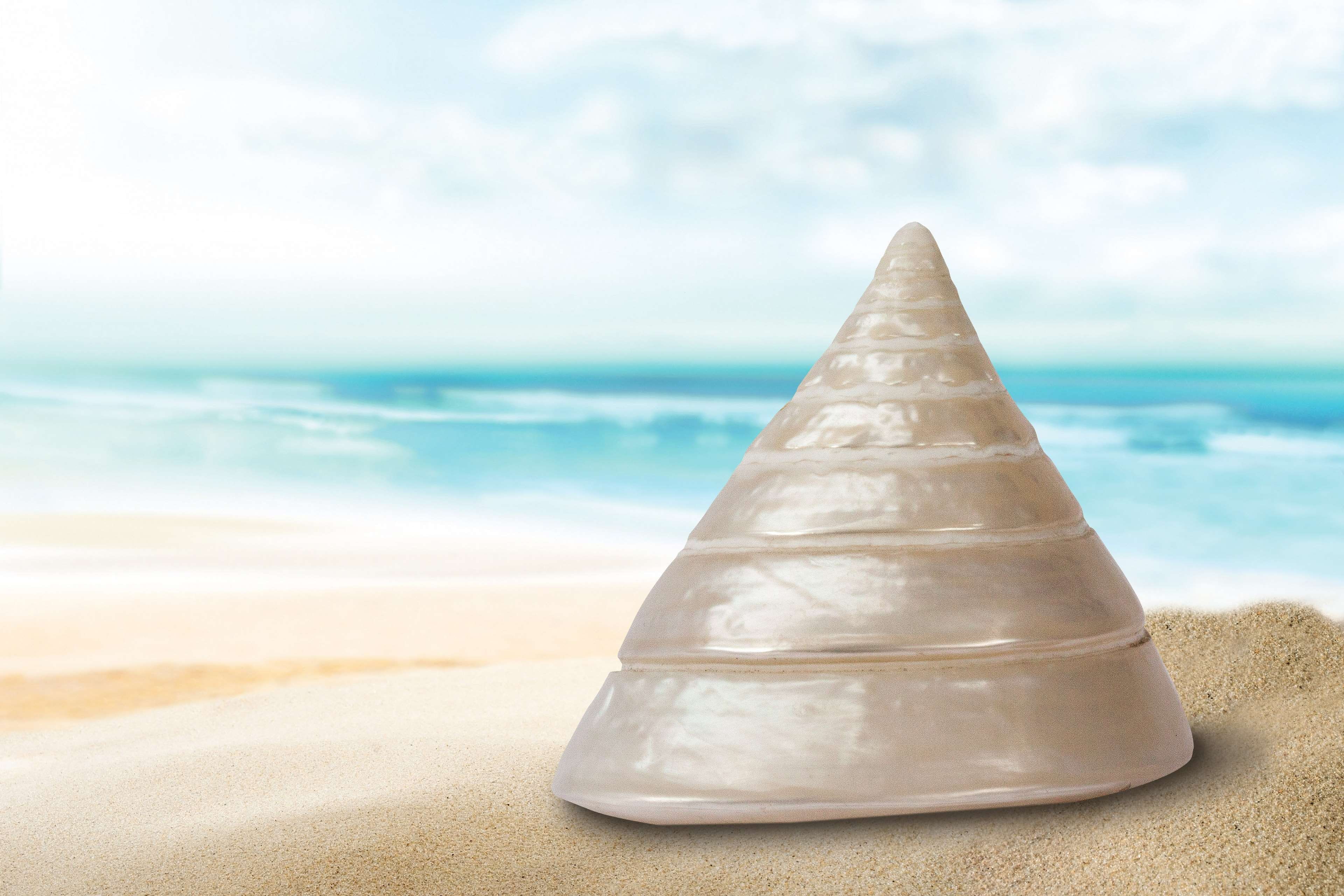 outdoors, wave, holiday, macro, horizon, beach, housing, shimmer, decorative, nature, no people, day, cloud - sky, sea snail, animal, tranquil scene, memory, HD Wallpaper