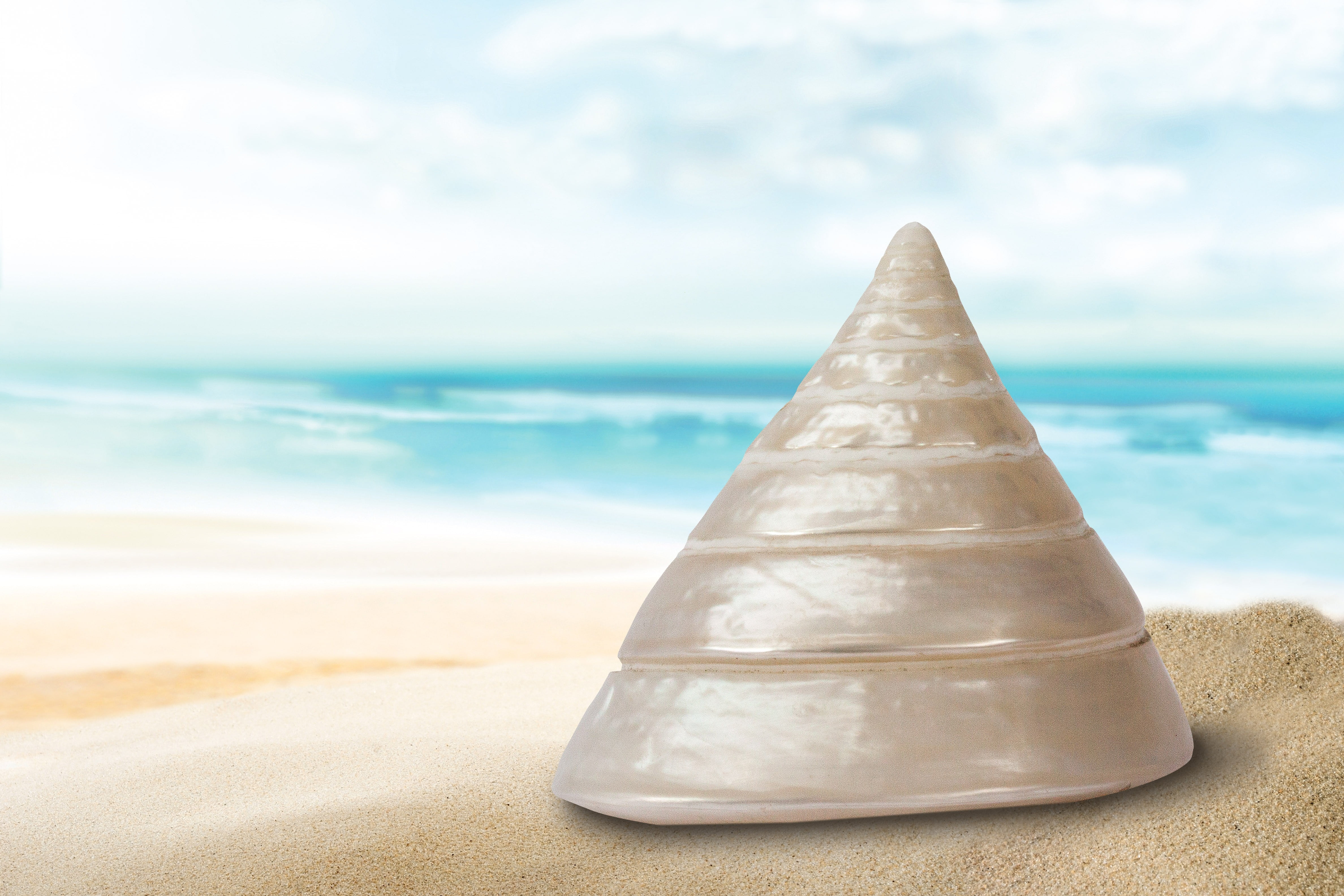 sand beach, tranquil scene, beige, trochidae, beauty in nature, outdoors, 4K, tranquility, decorative, cineraria, mother of pearl, focus on foreground, HD Wallpaper
