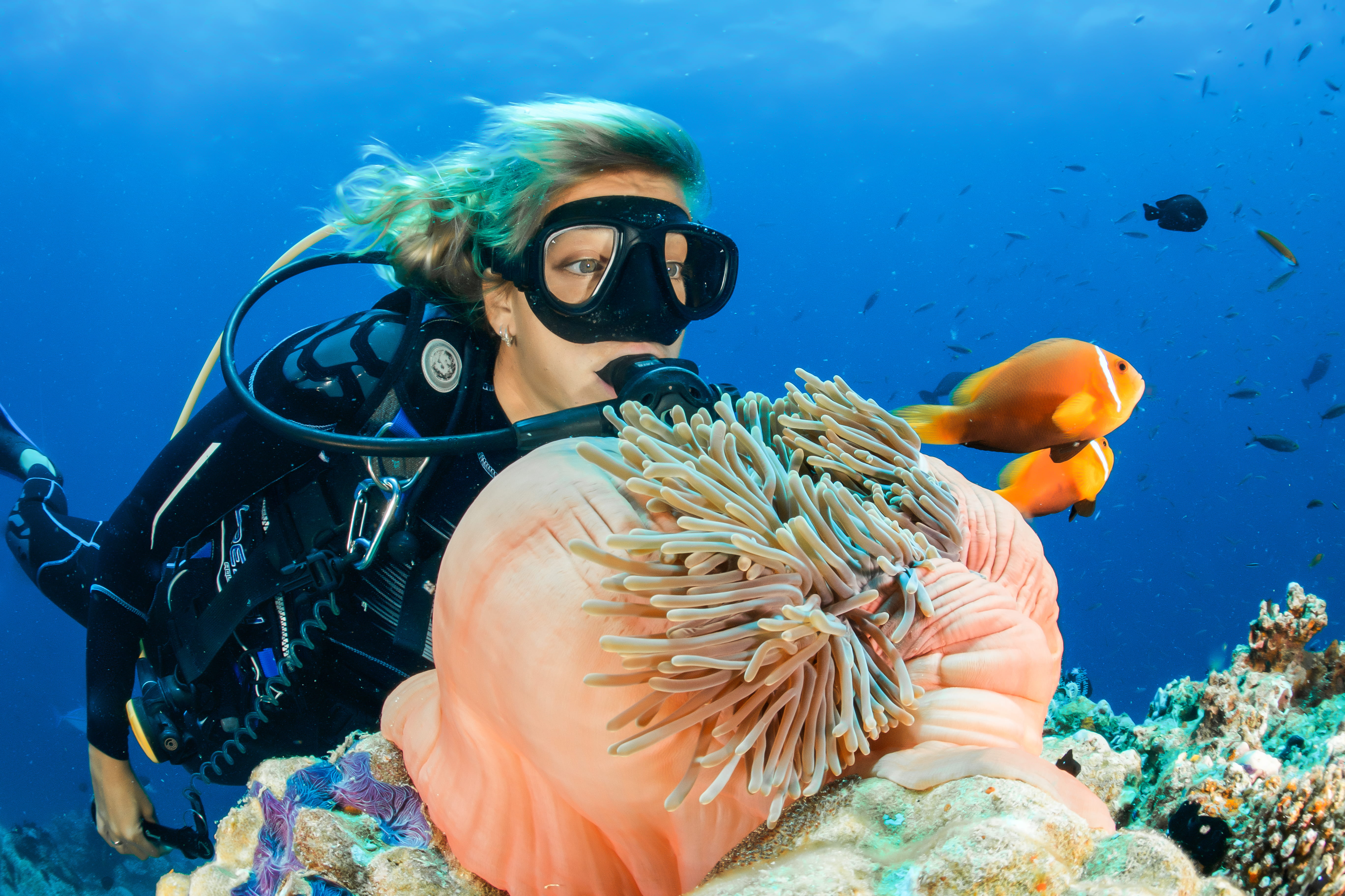 clown fish, animal themes, underwater, eyewear, diver, invertebrate, female, one person, undersea, swimming, animals in the wild, animal wildlife, 5K, HD Wallpaper
