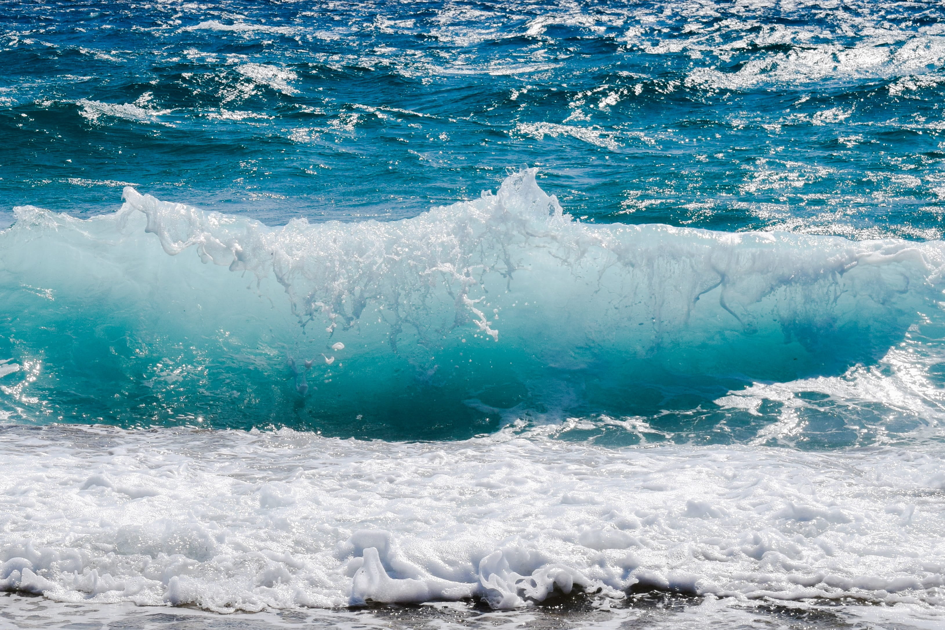 photography, flowing water, nature, underwater, animal wildlife, energy, splash, polar bear, one animal, ice, lapse, animal, mammal, cold temperature, foam, HD Wallpaper