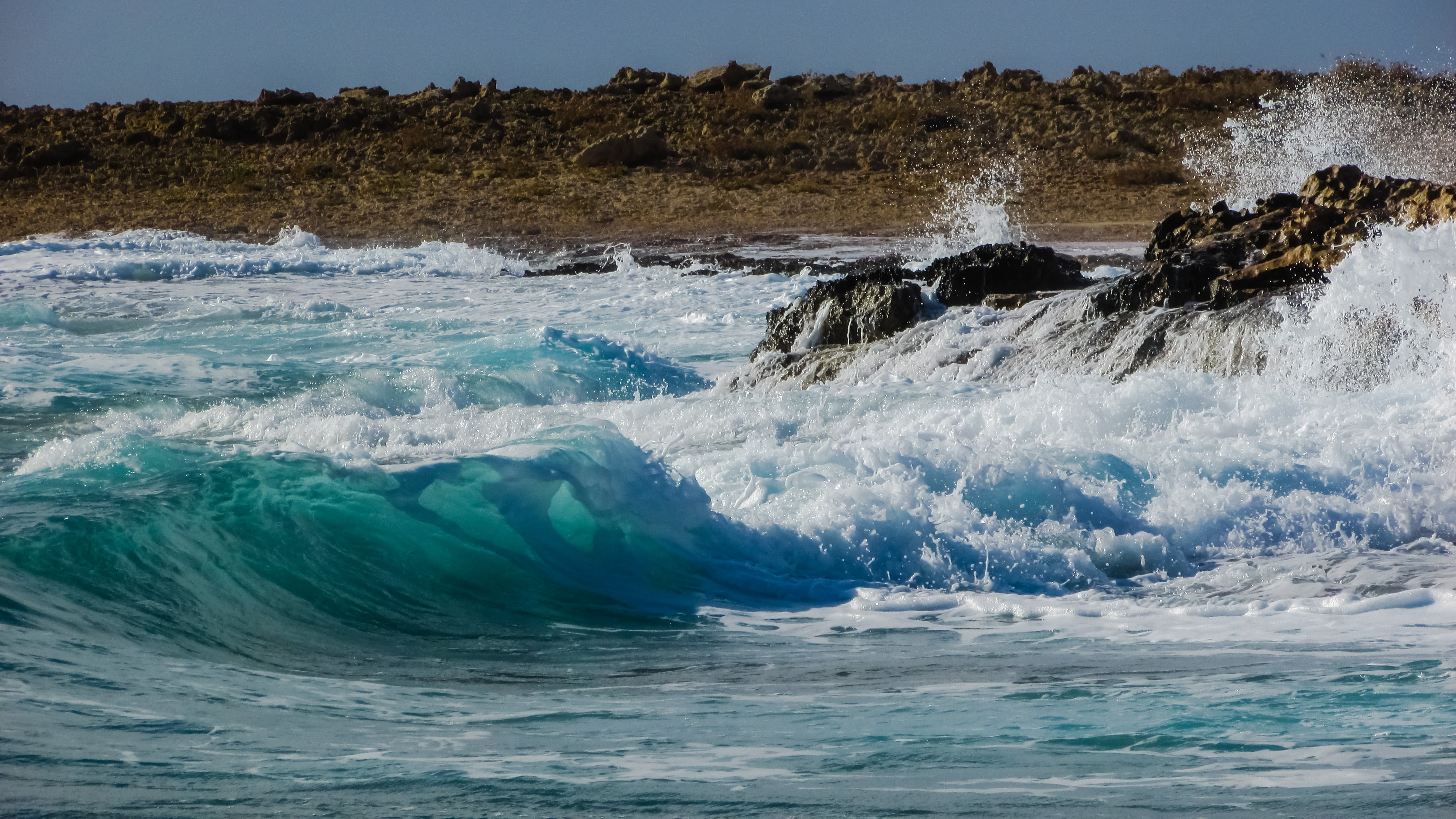 power in nature, coast, coastline, animal themes, one animal, foam, autumn, autumnal, beach, rocks, wave, water, animals in the wild, nature, outdoors, HD Wallpaper