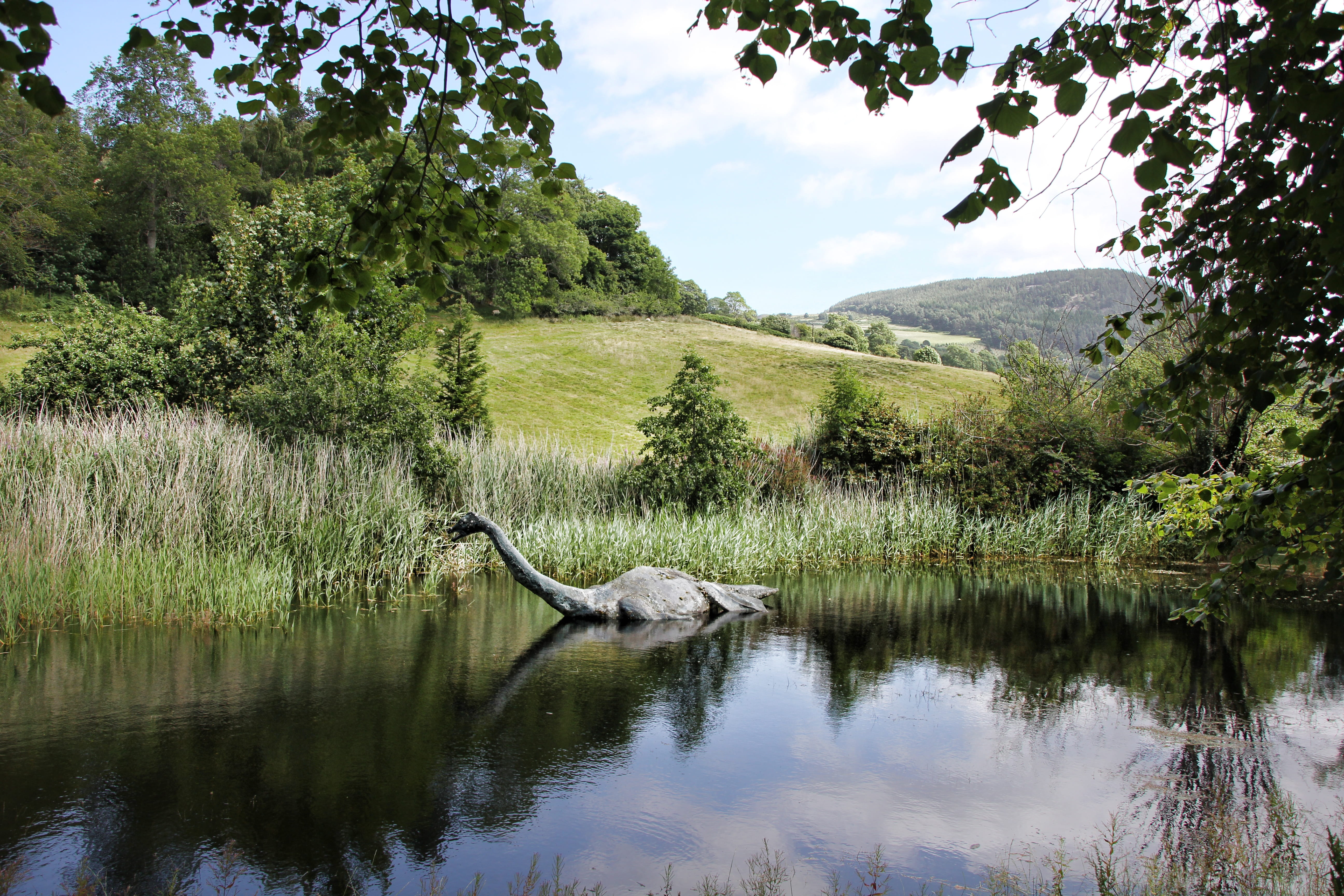 floating, scotland, plant, water, swan, body, no people, places of interest, tranquility, reflection, legend, nessie, lake, calm, gray, loch ness, animal themes, HD Wallpaper