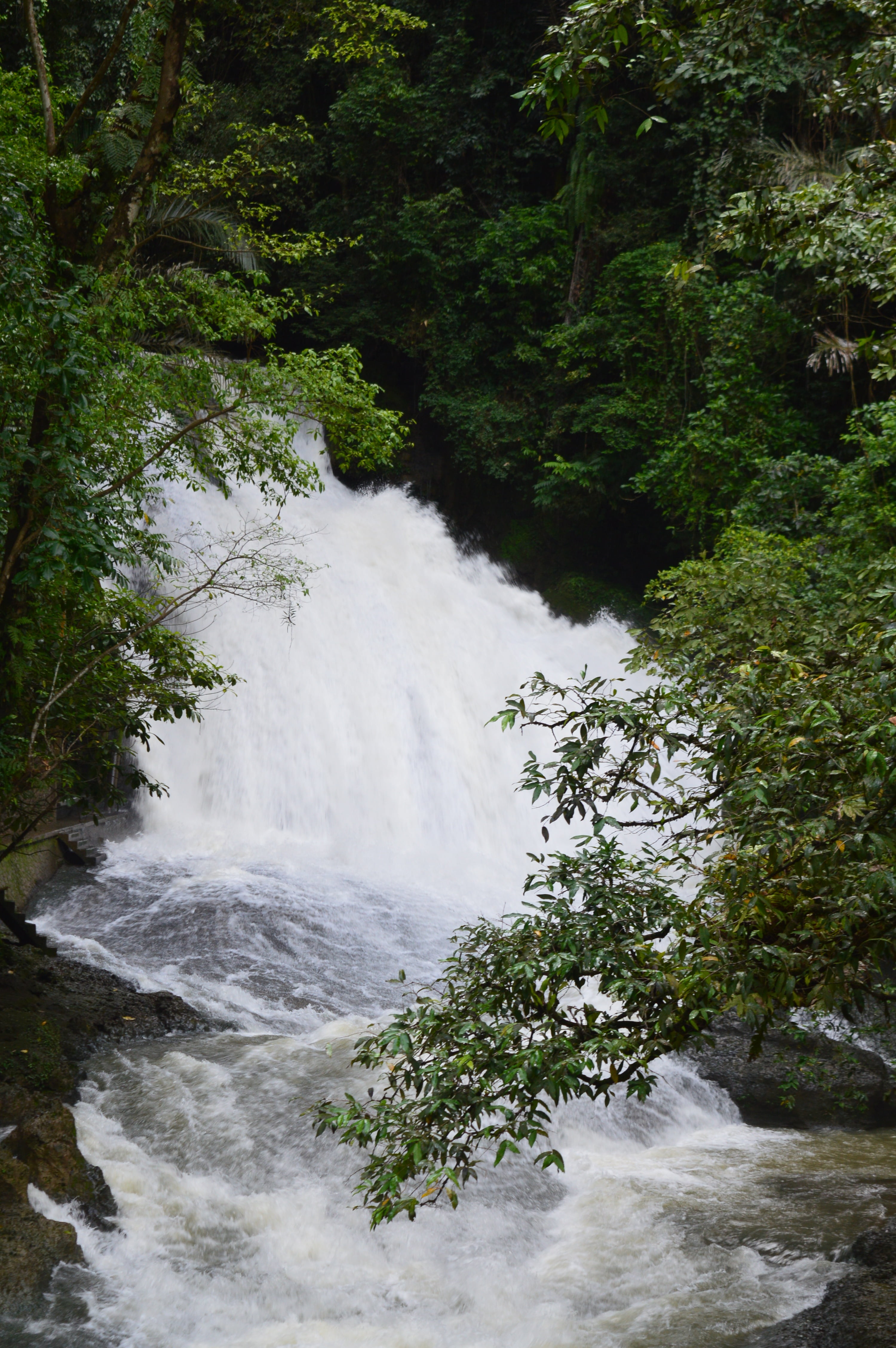 water, flowing water, day, no people, sulawesi, land, power in nature, outdoors, tree, bantimurung, growth, plant, forest, waterfall, rainforest, long exposure, Phone HD Wallpaper