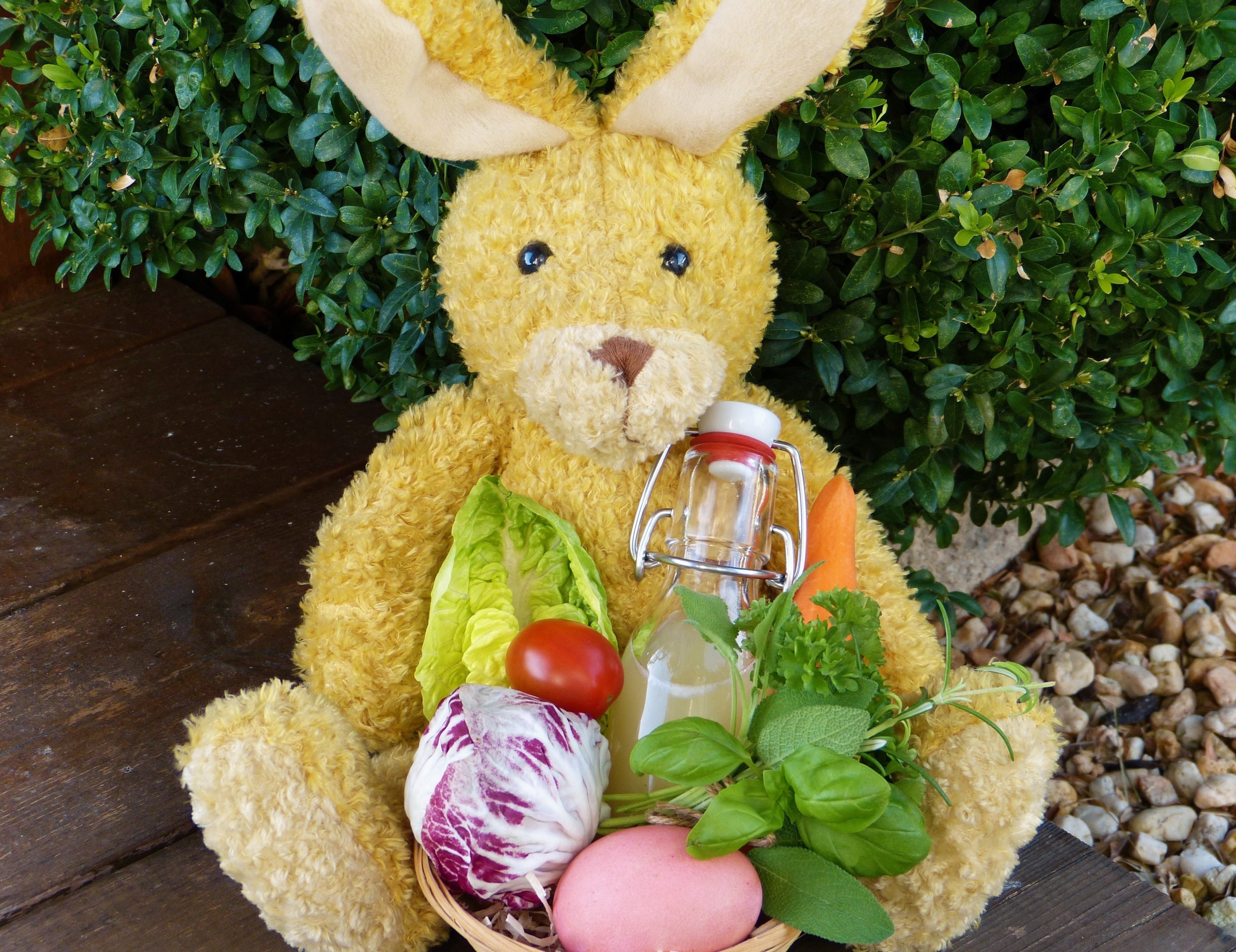 basket, stuffed toy, detox, nutrition, bear, representation, human representation, cold, top, diet, toy, food, high angle view, naturopathy, table, nature, HD Wallpaper