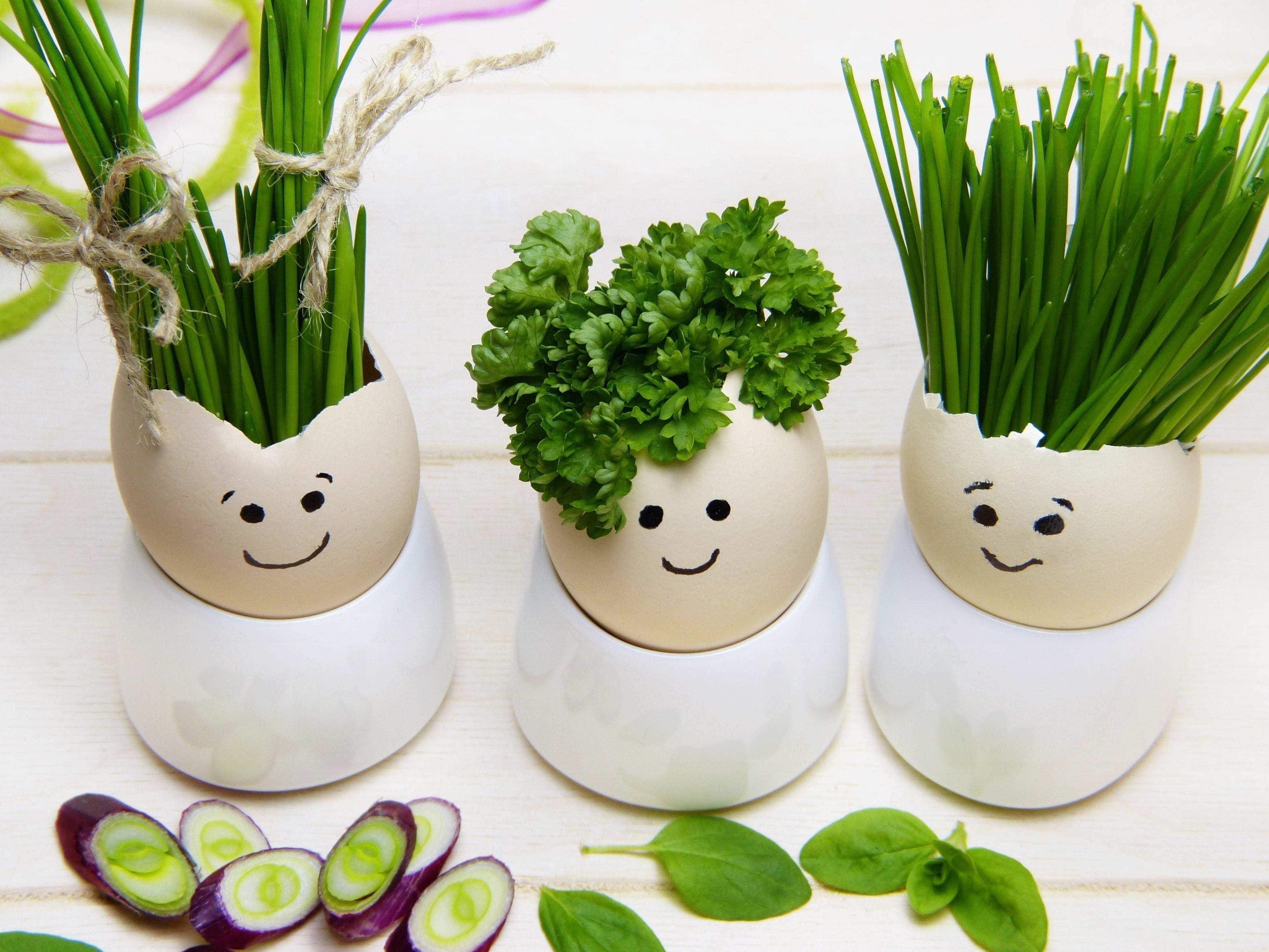 greeting card, intestine, art and craft, anthropomorphic smiley face, face, parsley, cold, chives, no people, cheerful, easter, herbs, onion, green color, HD Wallpaper
