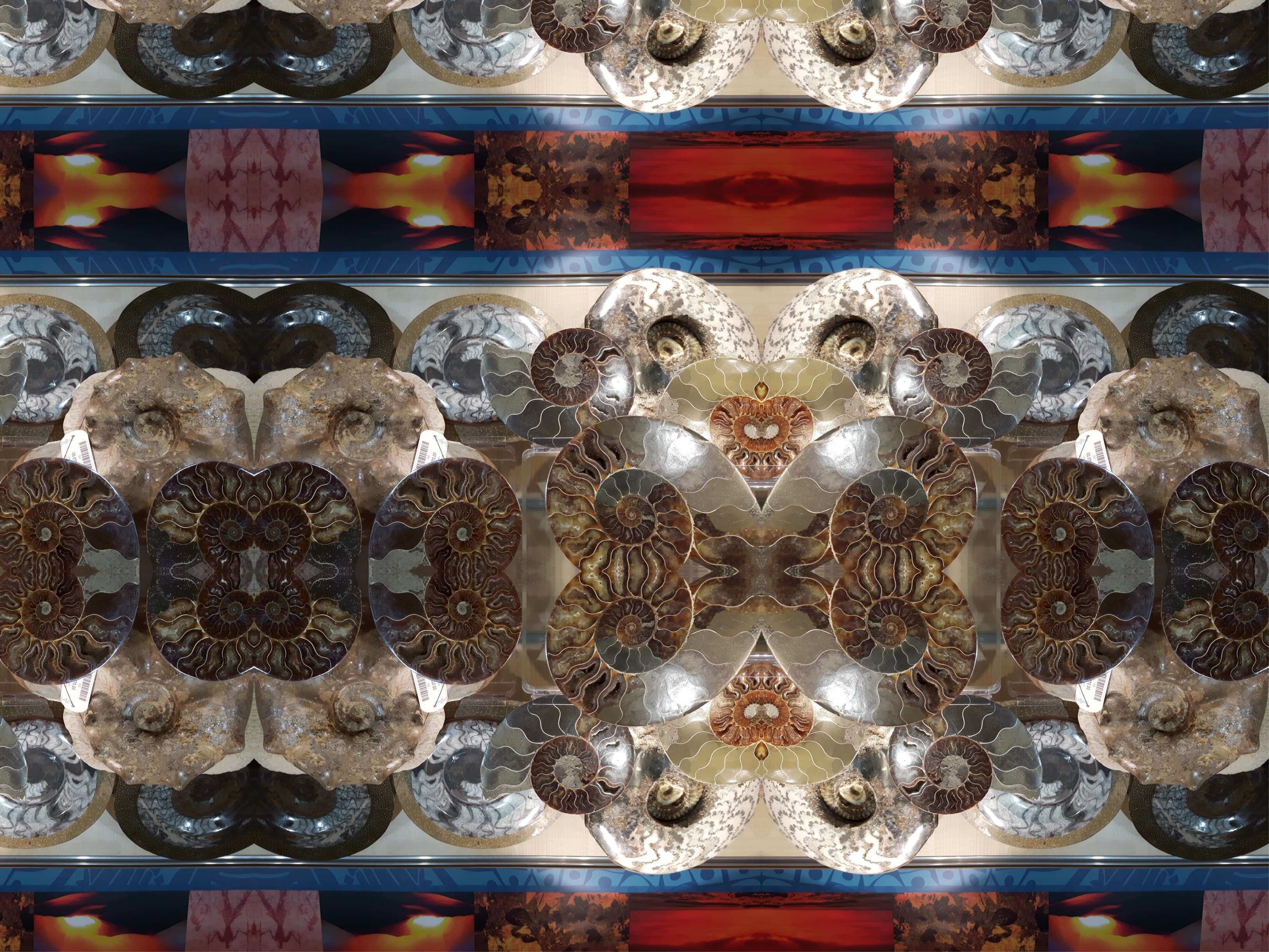 hanging, ceiling, fossil, no people, glass - material, creativity, floral pattern, indoors, human representation, craft, architectural design, still life, HD Wallpaper
