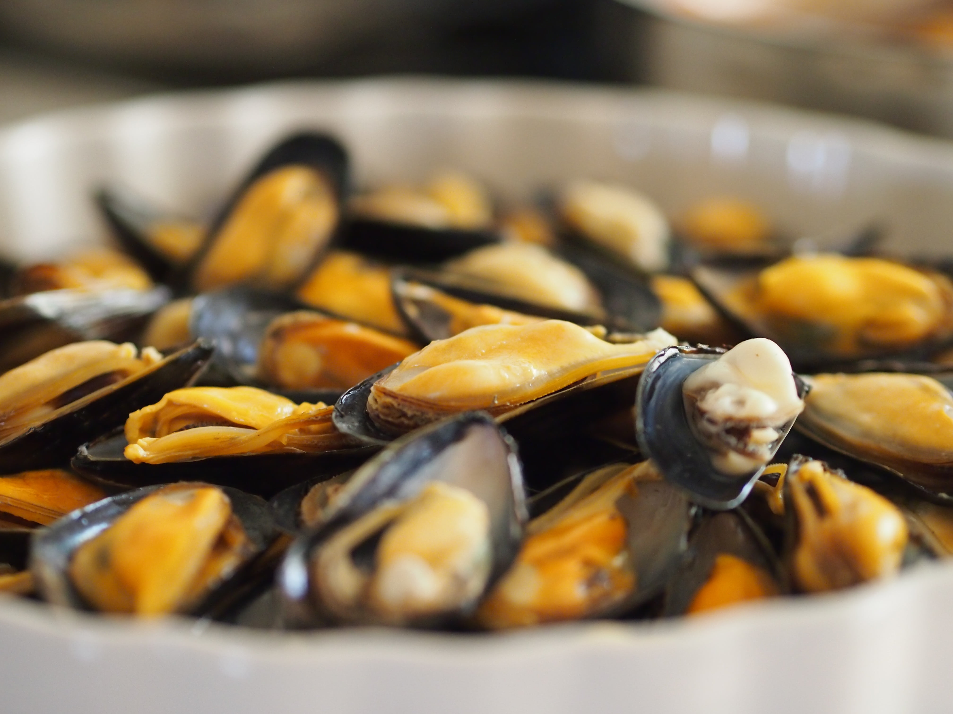 clams, wellbeing, muscles, food, ready-to-eat, healthy eating, tray, selective focus, plate, molluscs, seafood, preparation, gourmet, freshness, heat - temperature, HD Wallpaper