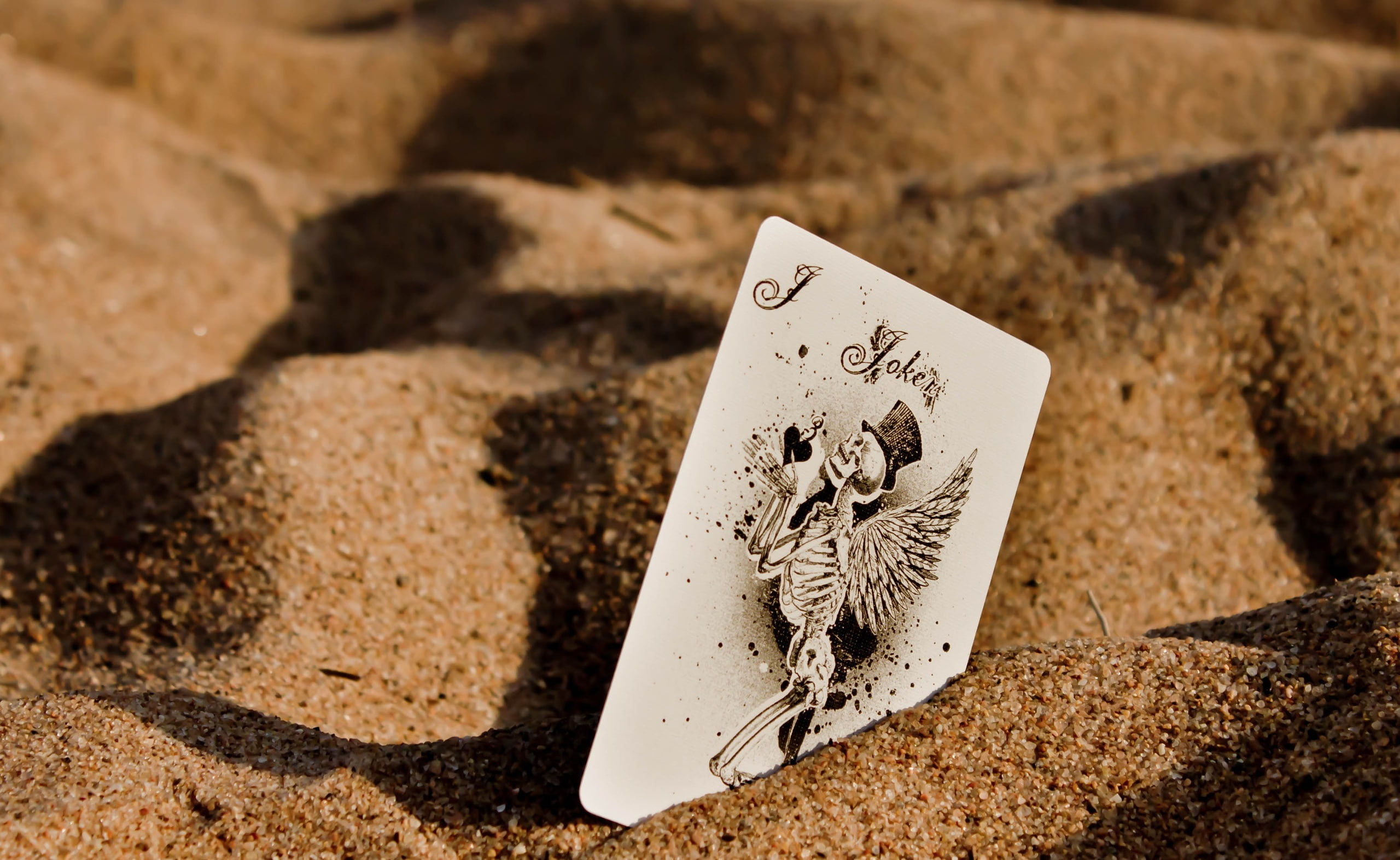 sand, solid, buried, animal, card, beach, Joker, pebble, nature, outdoors, creativity, text, playing, 2K, animal wildlife, sunlight, land, high angle view, HD Wallpaper