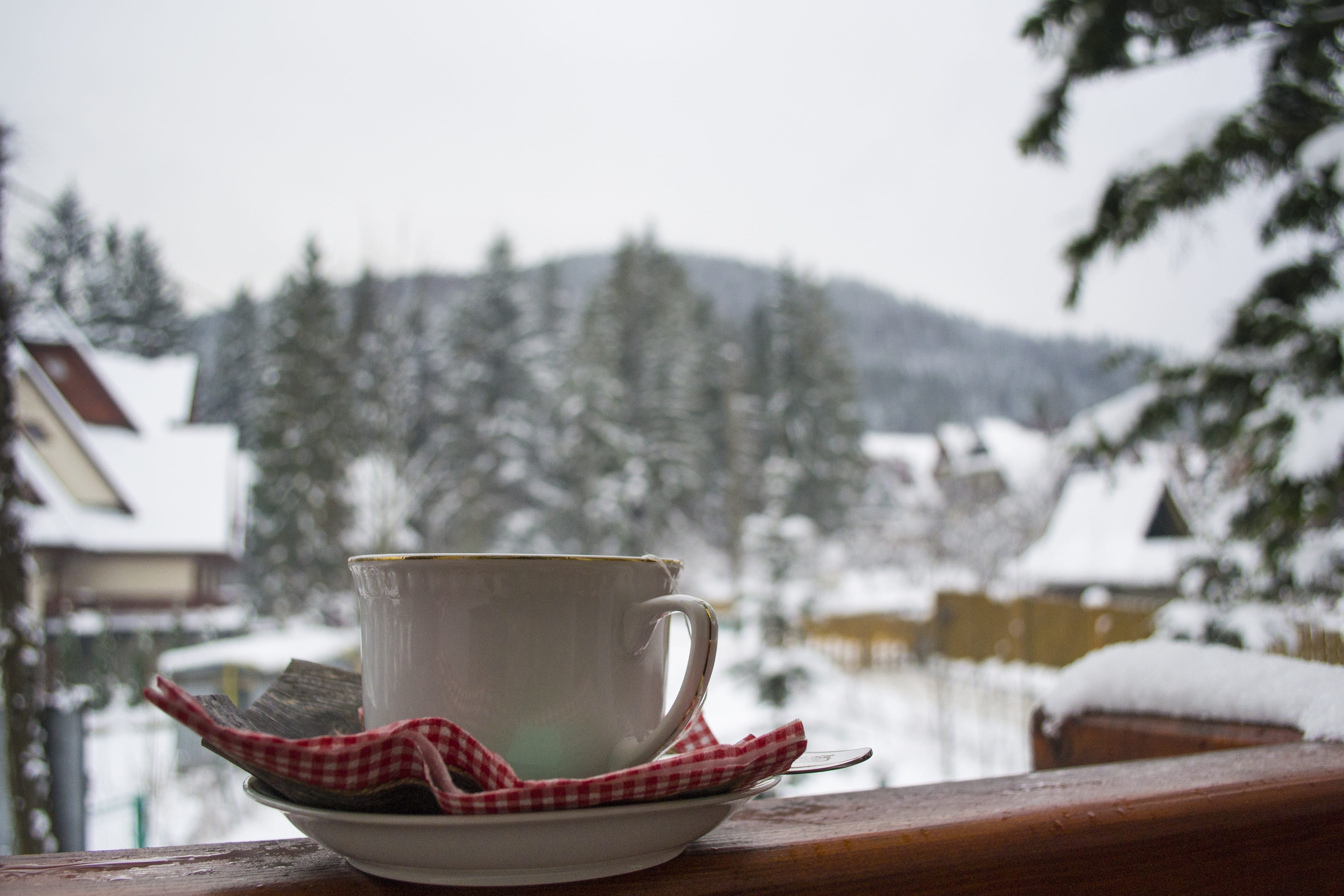 Winter, mountain, Teacup, drink, outdoors, the drink, tea cup, Tea, snow, relaxation, no people, focus on foreground, plant, 4K, porcelain, wood - Material, HD Wallpaper