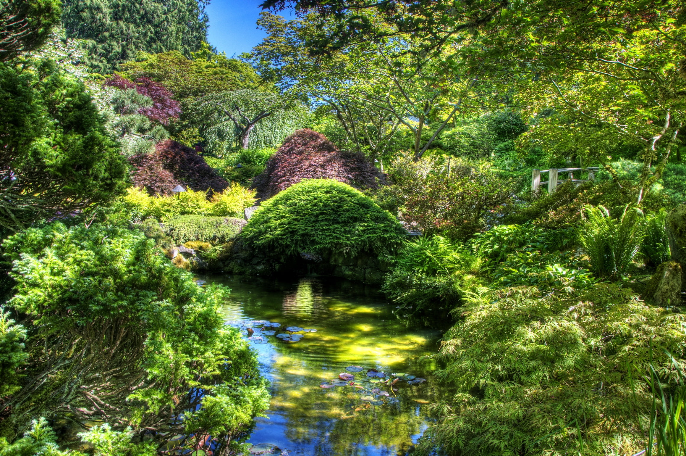 outdoors, summer, architecture, foliage, motion, garden, flowing, wet, landscape, forest, trees, waterfall, beauty In Nature, vegetation, moss, environment, HD Wallpaper