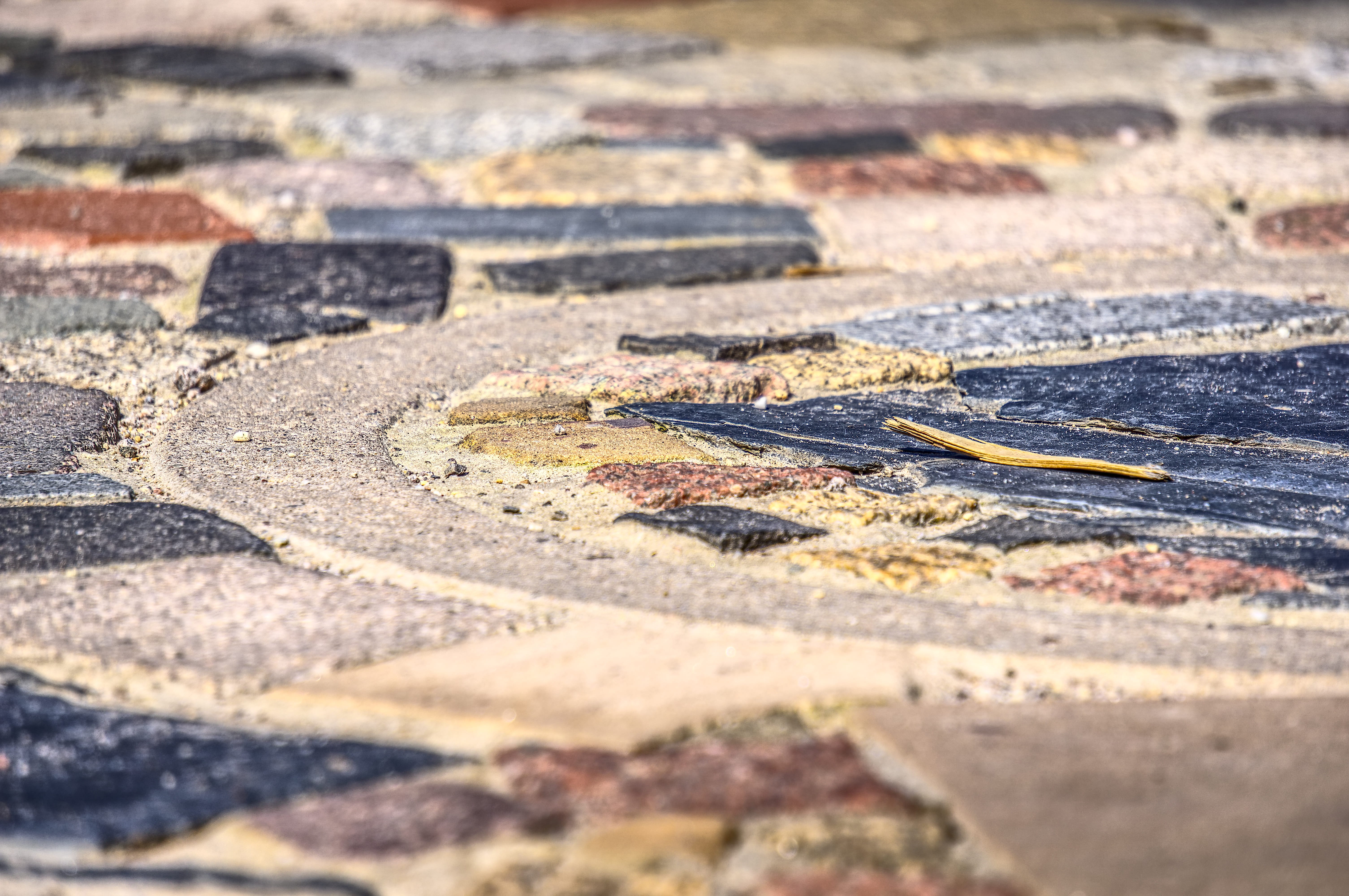 selective focus, surface level, hof, fugue, the past, sunlight, landscape, field, environment, day, backgrounds, hdr, architecture, city, outdoors, nature, HD Wallpaper