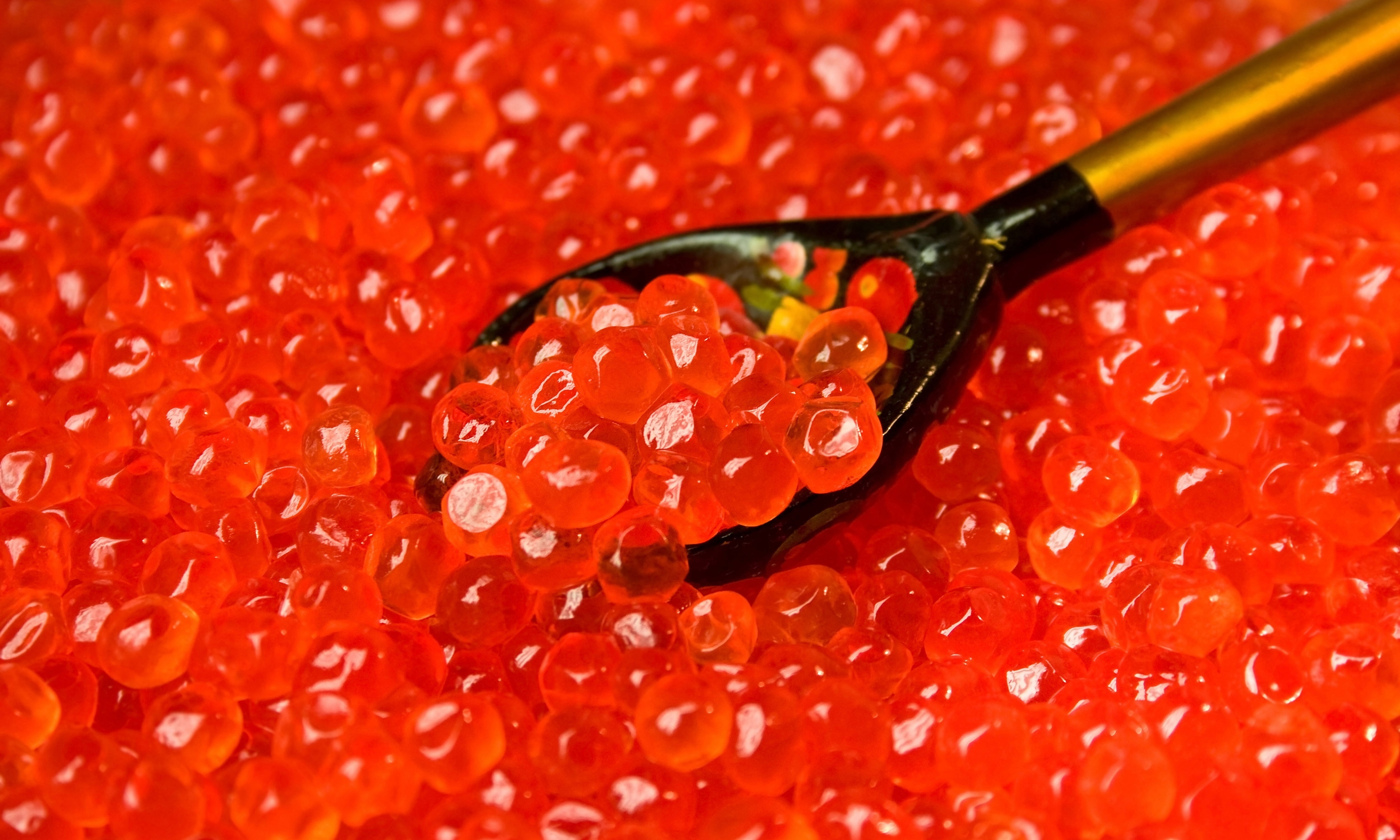 raindrop, selective focus, eating utensil, yellow, red, sago, healthcare And Medicine, caviar, dieting, water, 4K, organic, raw Food, pearl, vegetarian Food, HD Wallpaper