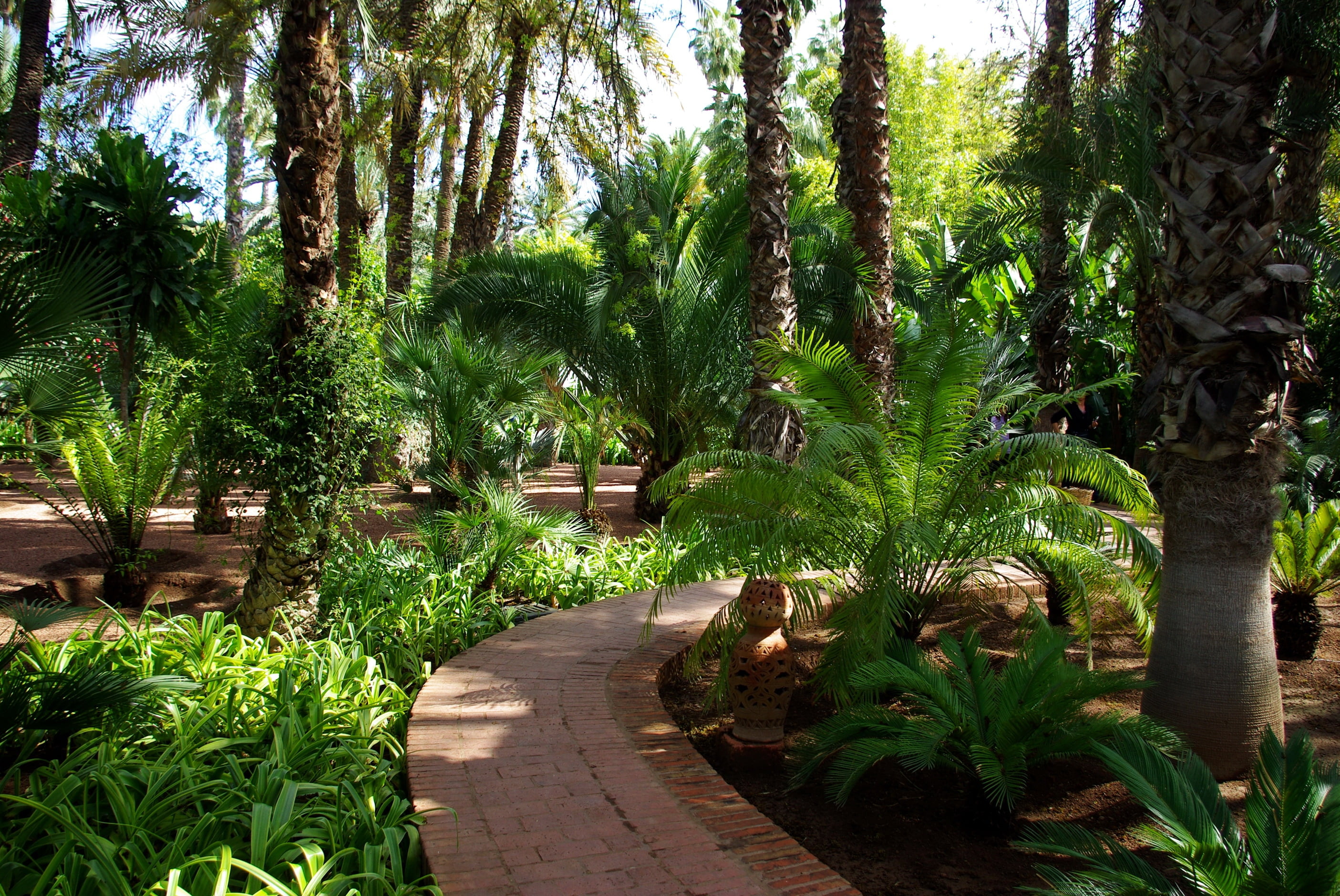 plant, turn, green, landscape, scenics, tree, footpath, bush, palm Tree, fern, outdoors, garden, travel, trunk, tranquility, park - Man Made Space, 2K, HD Wallpaper