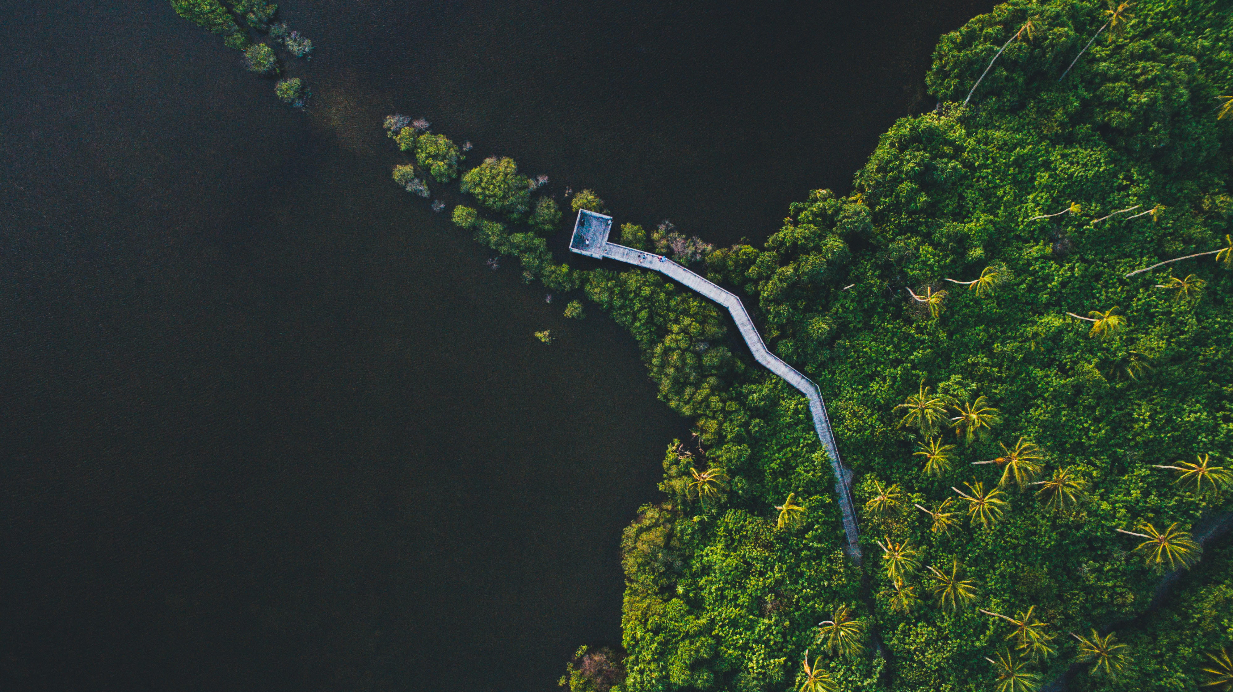 high Angle View, islet, green, eye, water, landscape, birds, forest, copy space, outdoors, body of water, land, animal, plant, river, daytime, nature, 4K, HD Wallpaper