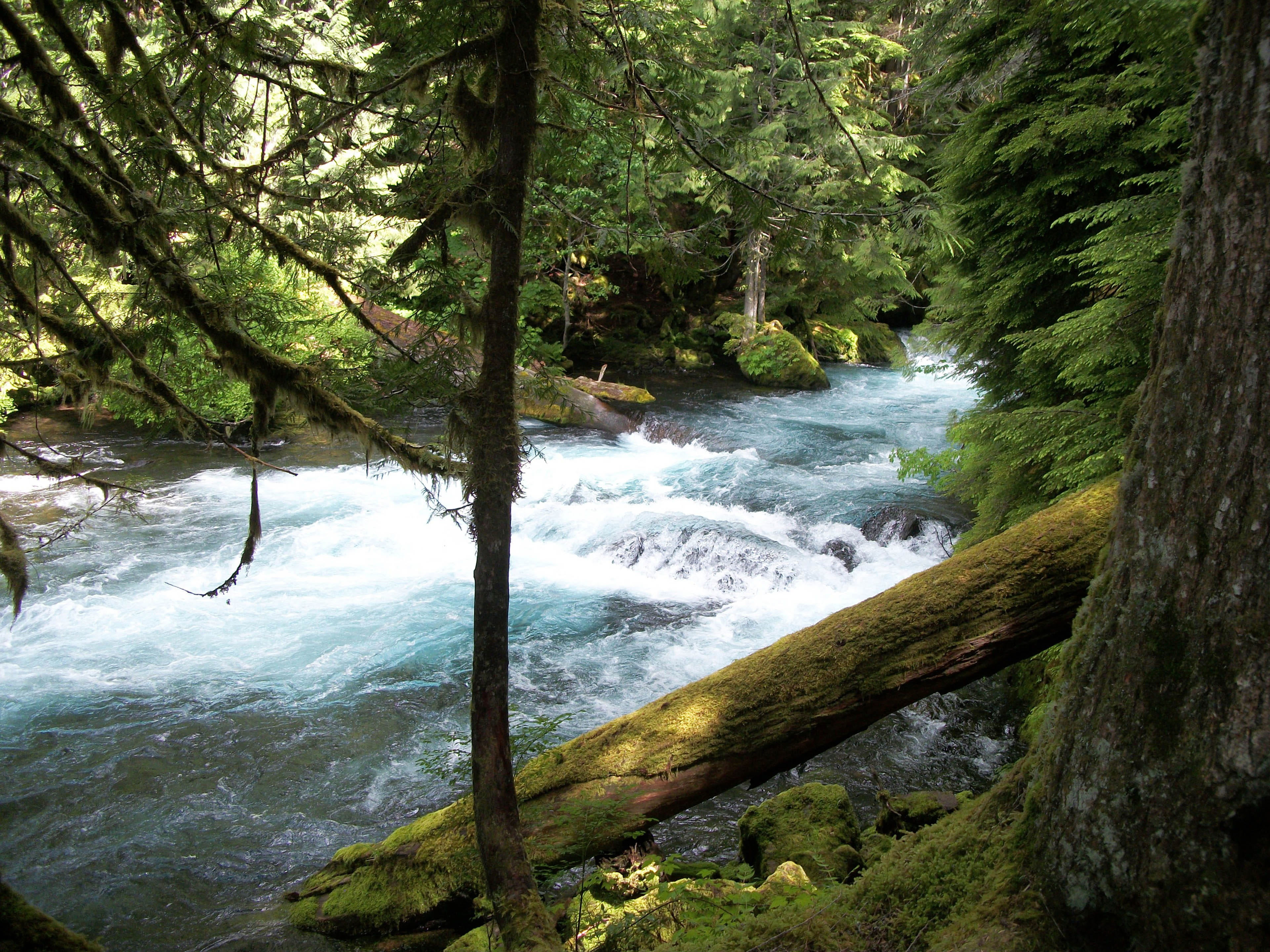 tranquility, 4K, tree, travel, power in nature, no people, cascade, nature, summer, mountain, green, beauty in nature, plant, outdoors, sun, flow, tourism, HD Wallpaper