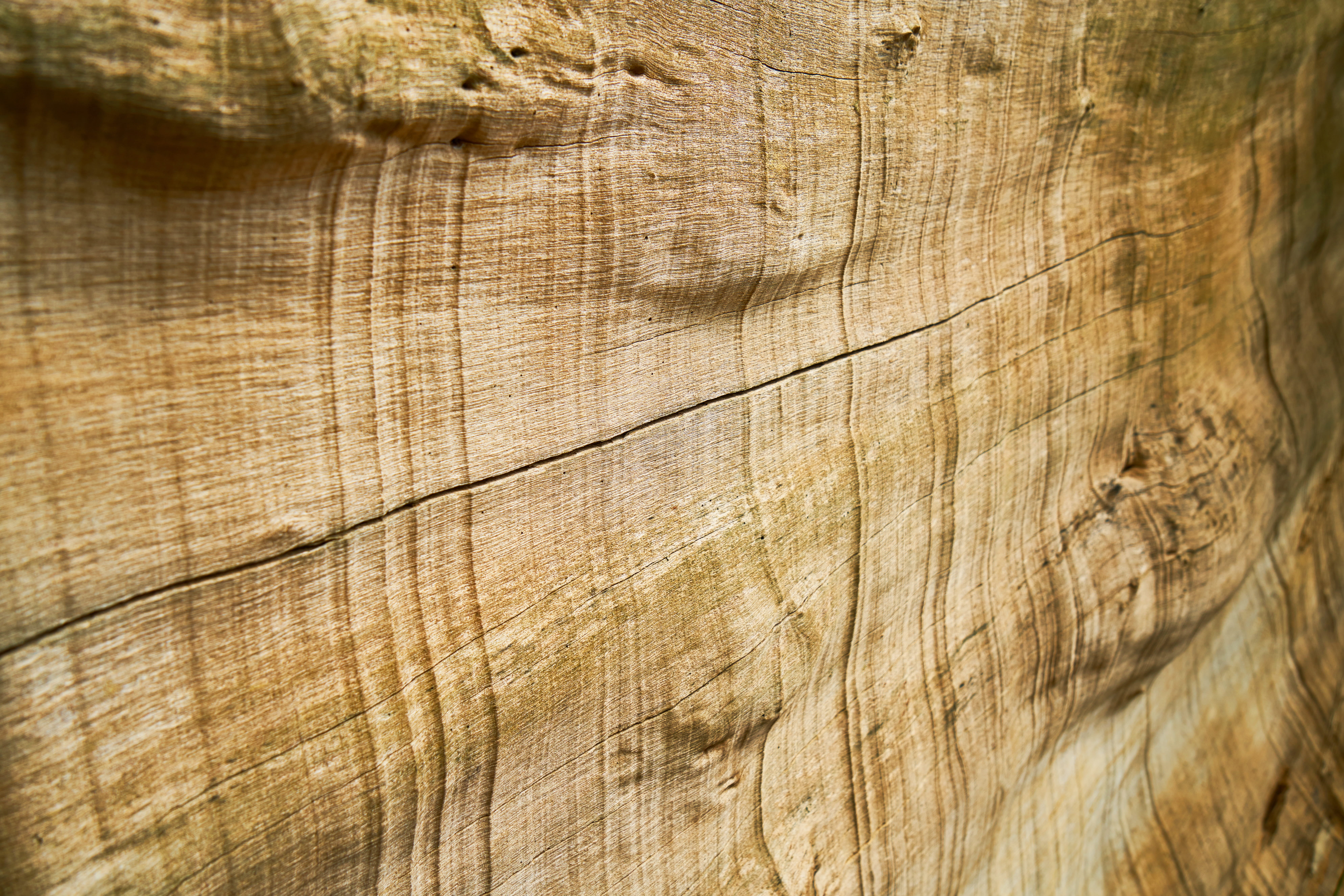 old, nature, old-fashioned, day, bark, nobody, wood grain, cracked, 8K, yellow, tree, table, texture, detail, macro, tree trunk, background, abstract, HD Wallpaper